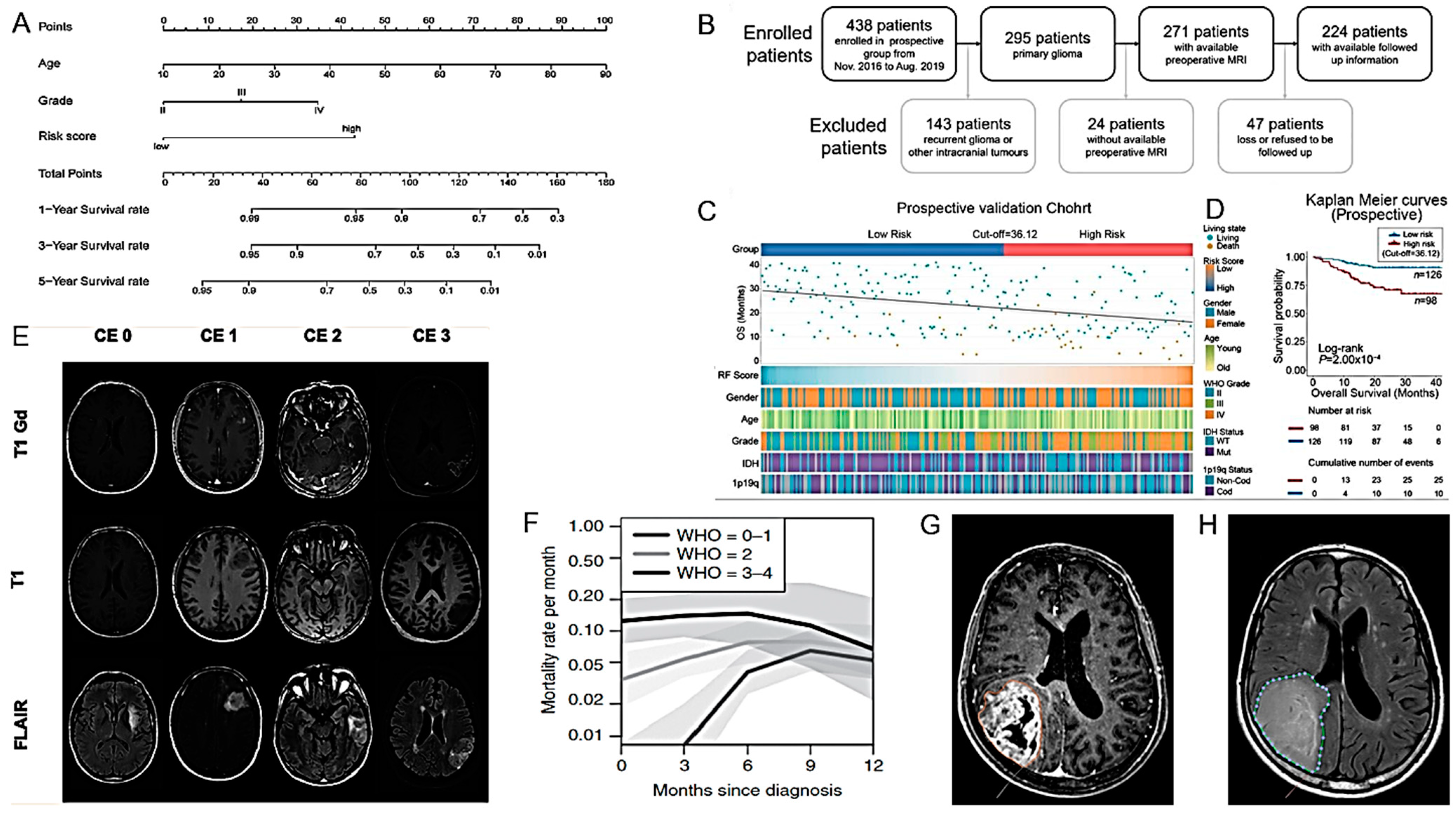 Cancers 16 01566 g013