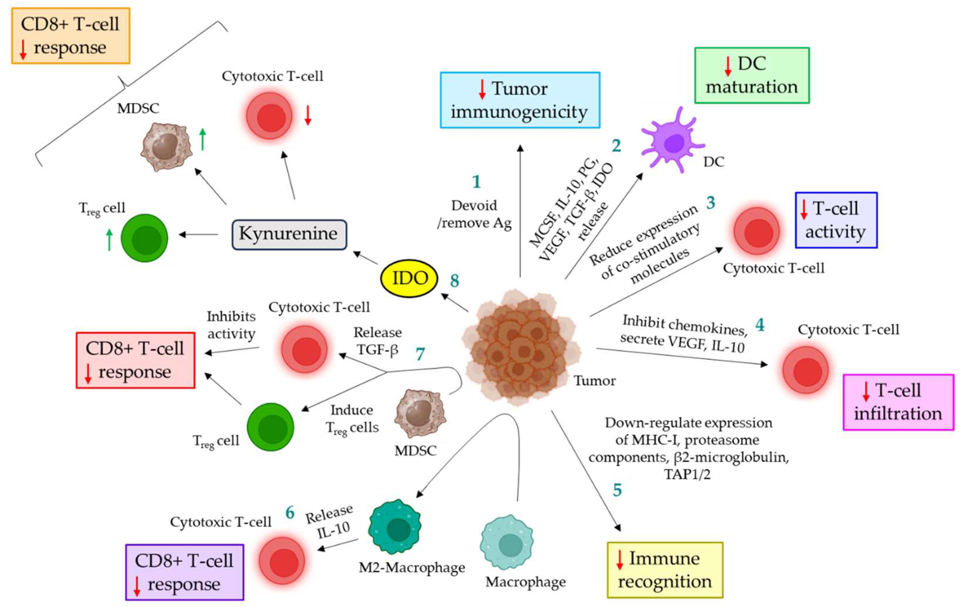 Cancers 16 01568 g003