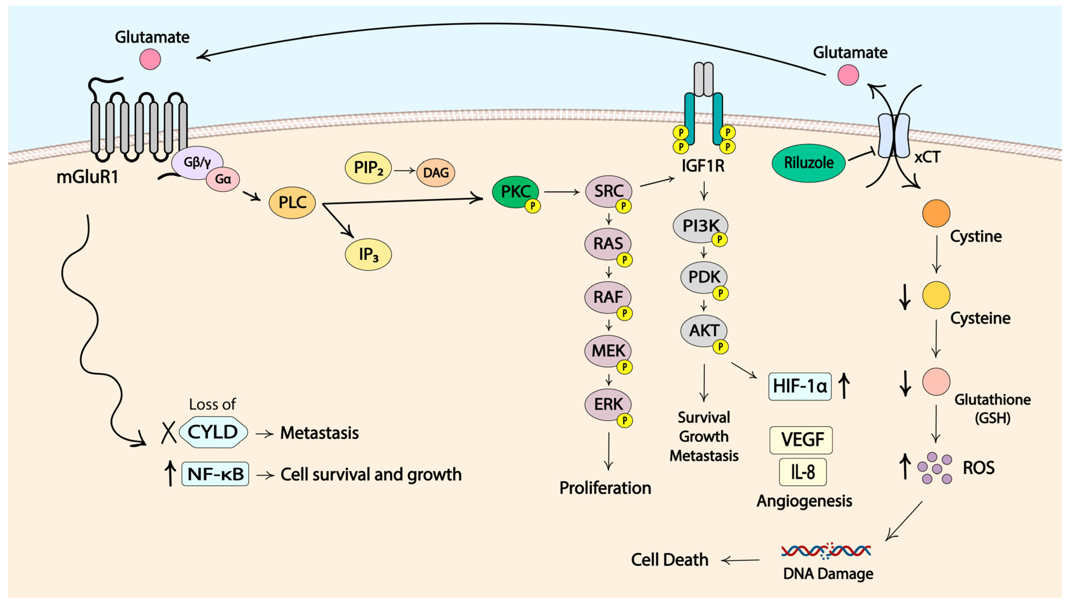 Cancers 16 01571 g002 Cancers 16 01571 g002
