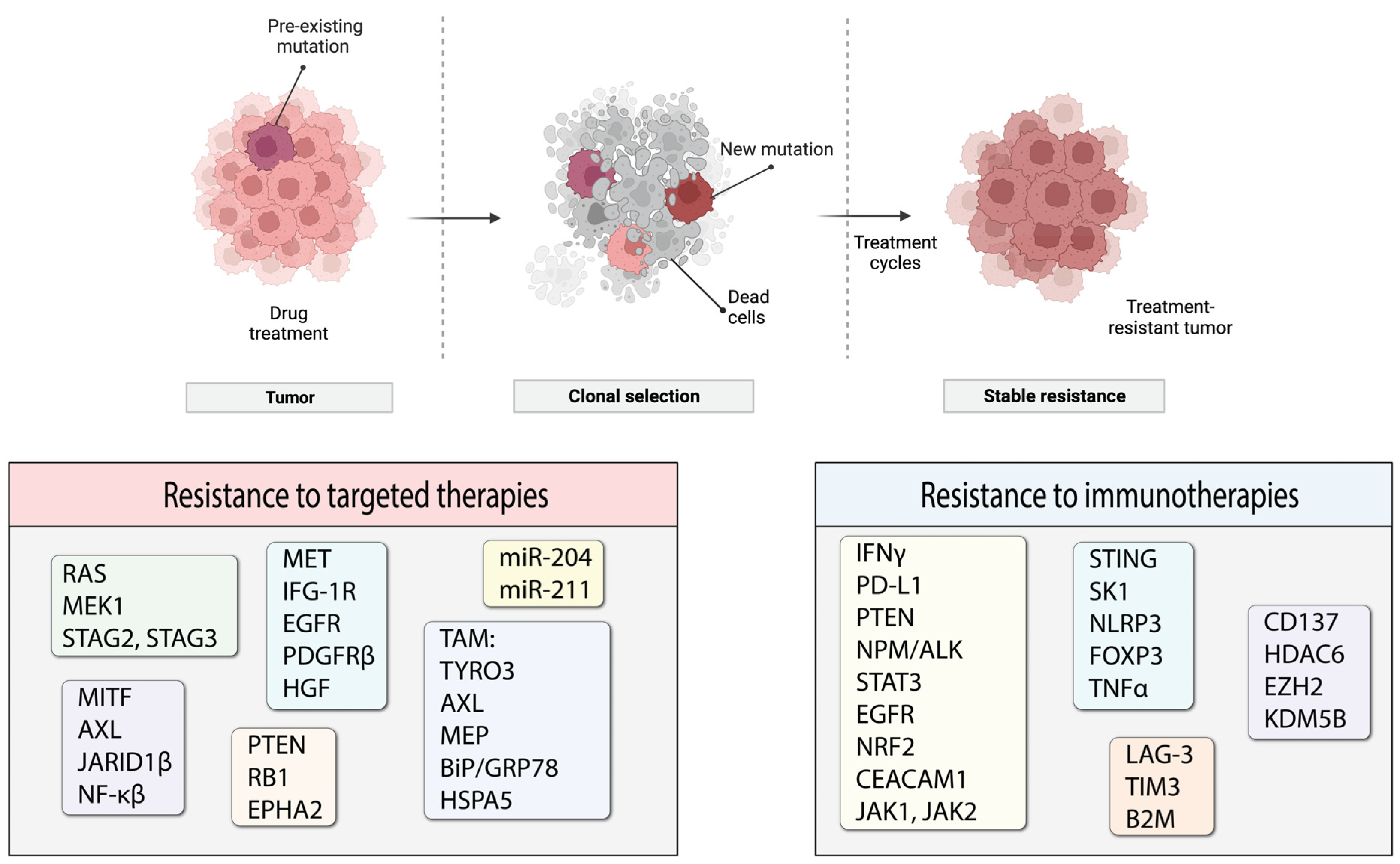 Cancers 16 01571 g003 Cancers 16 01571 g003