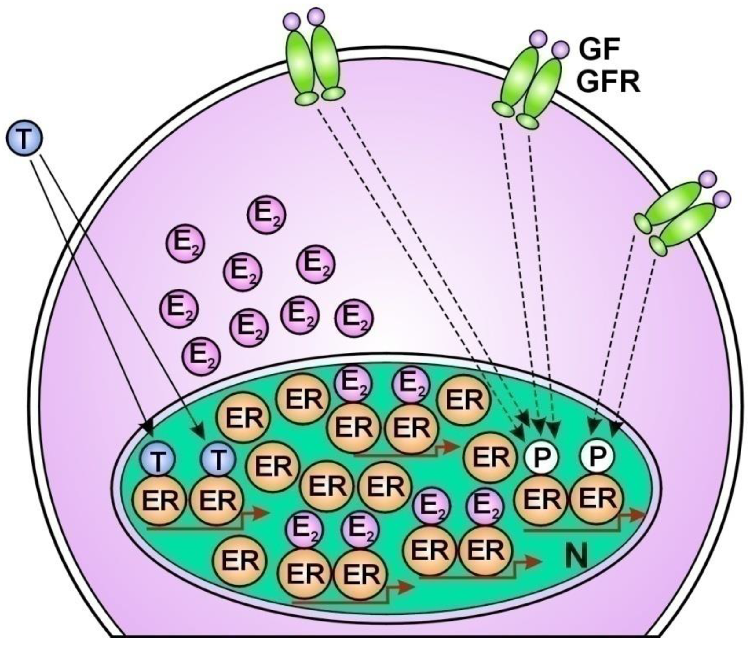 Cancers 16 01573 g002