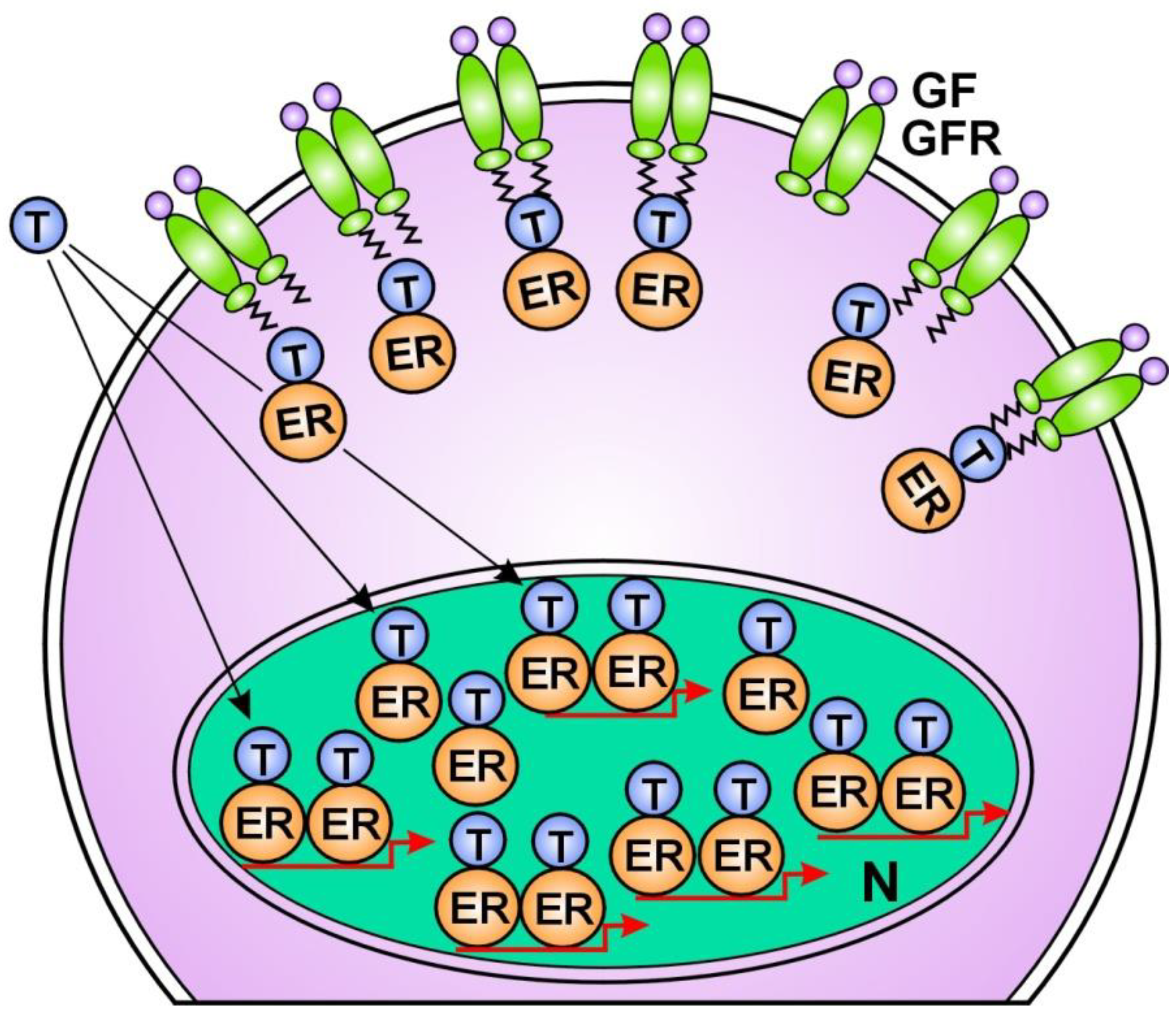 Cancers 16 01573 g003