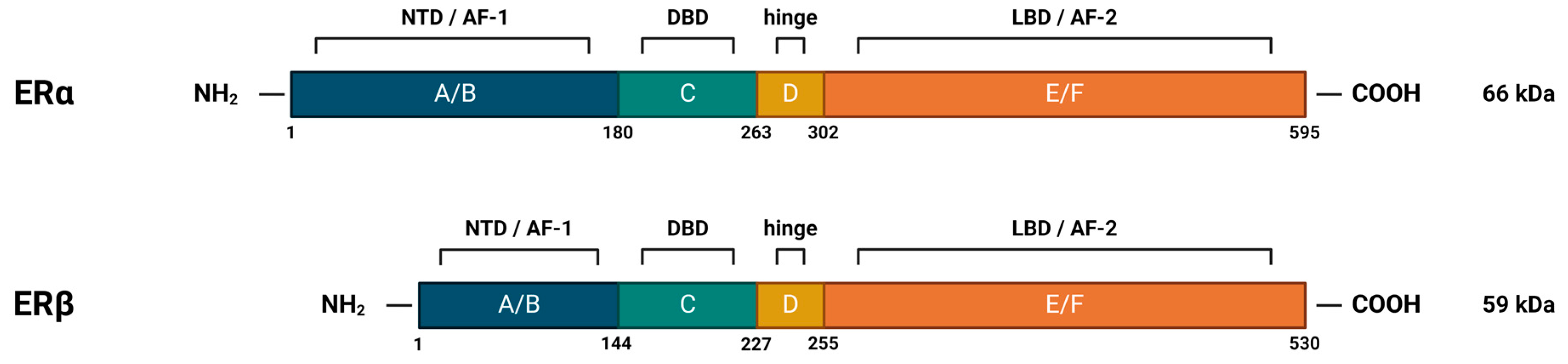 Cancers 16 01575 g004