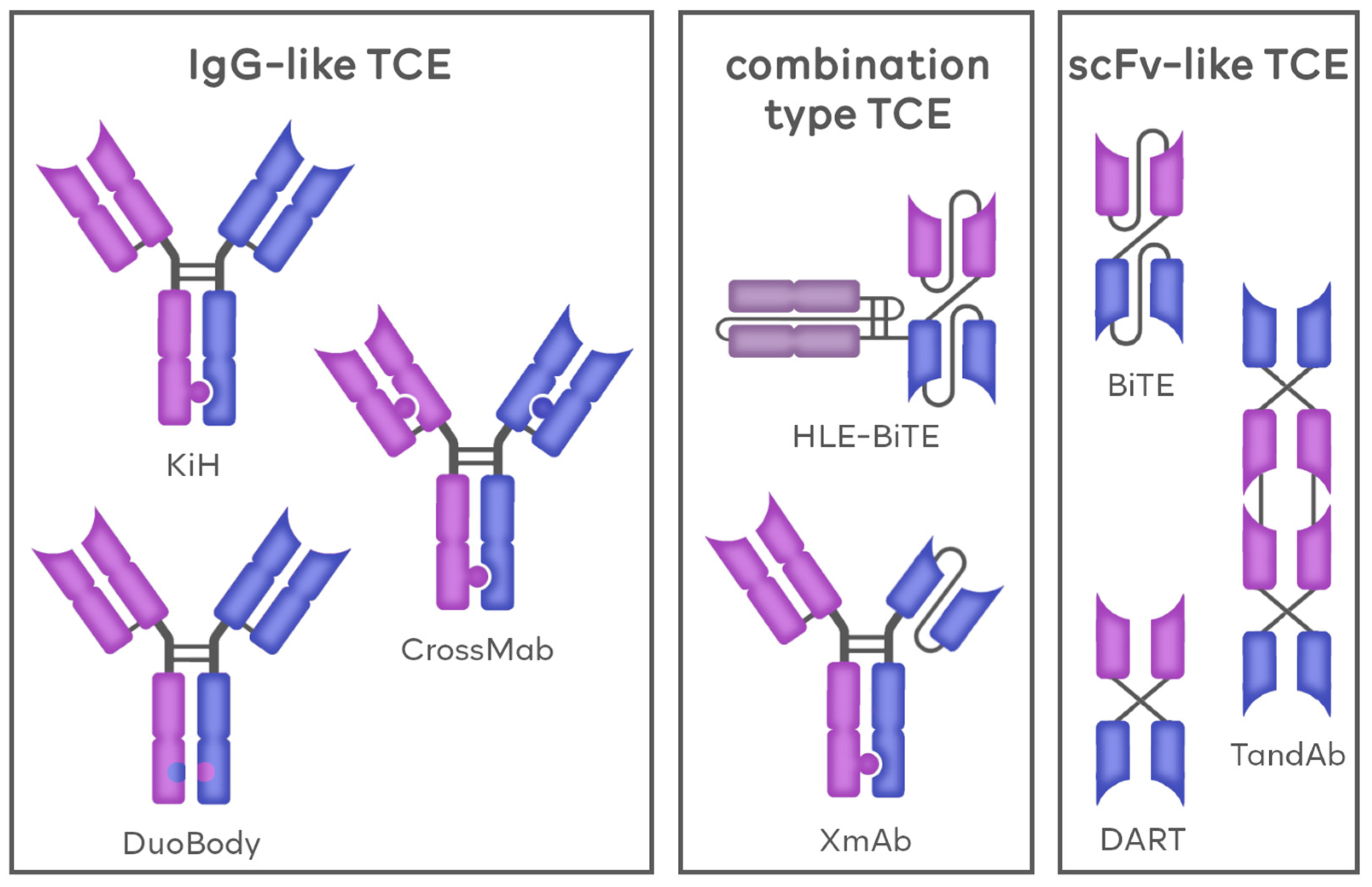 Cancers 16 01580 g002