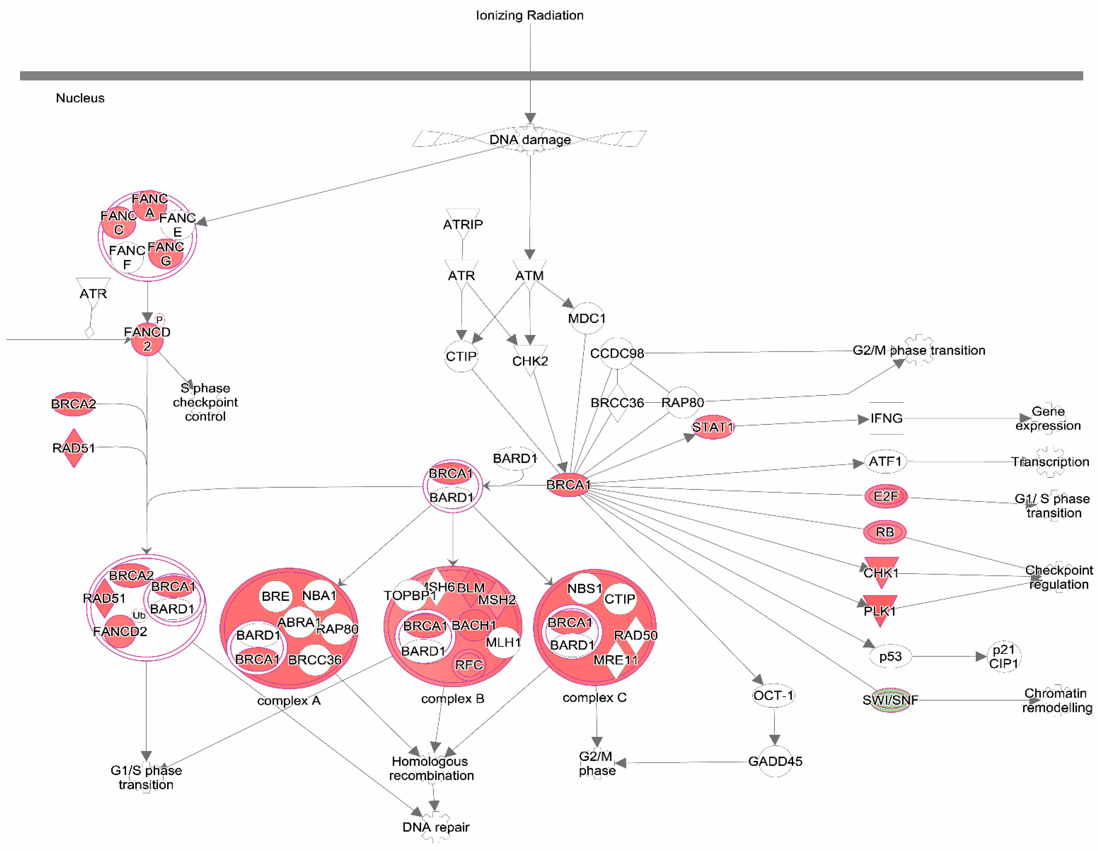 Cancers 16 01586 g0a1