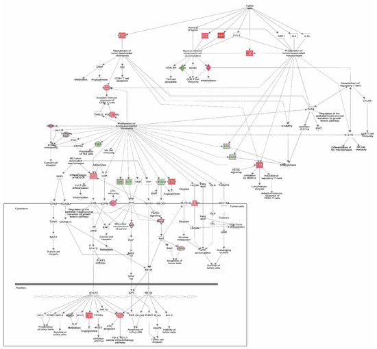 Cancers 16 01586 g0a2