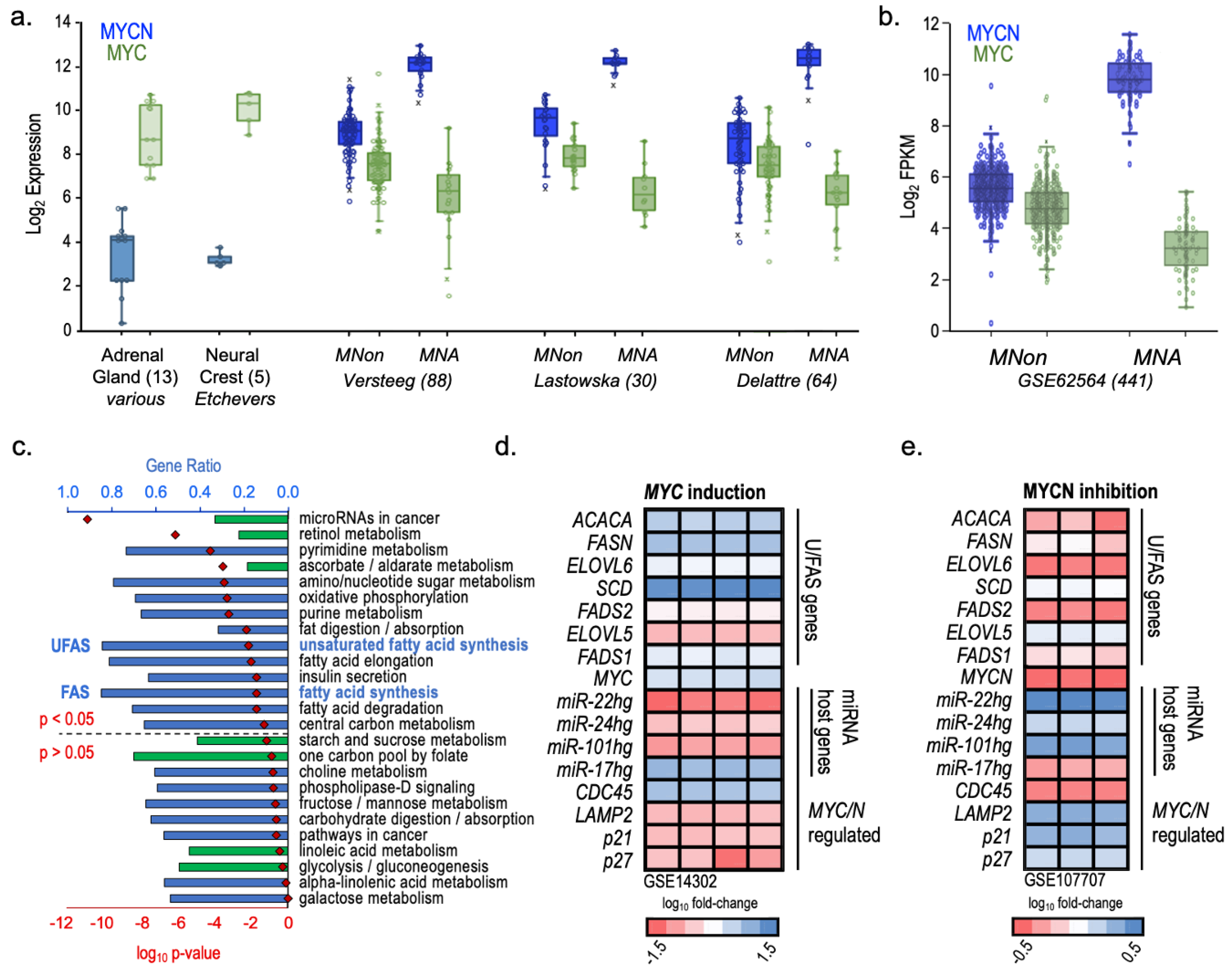 Cancers 16 01590 g007
