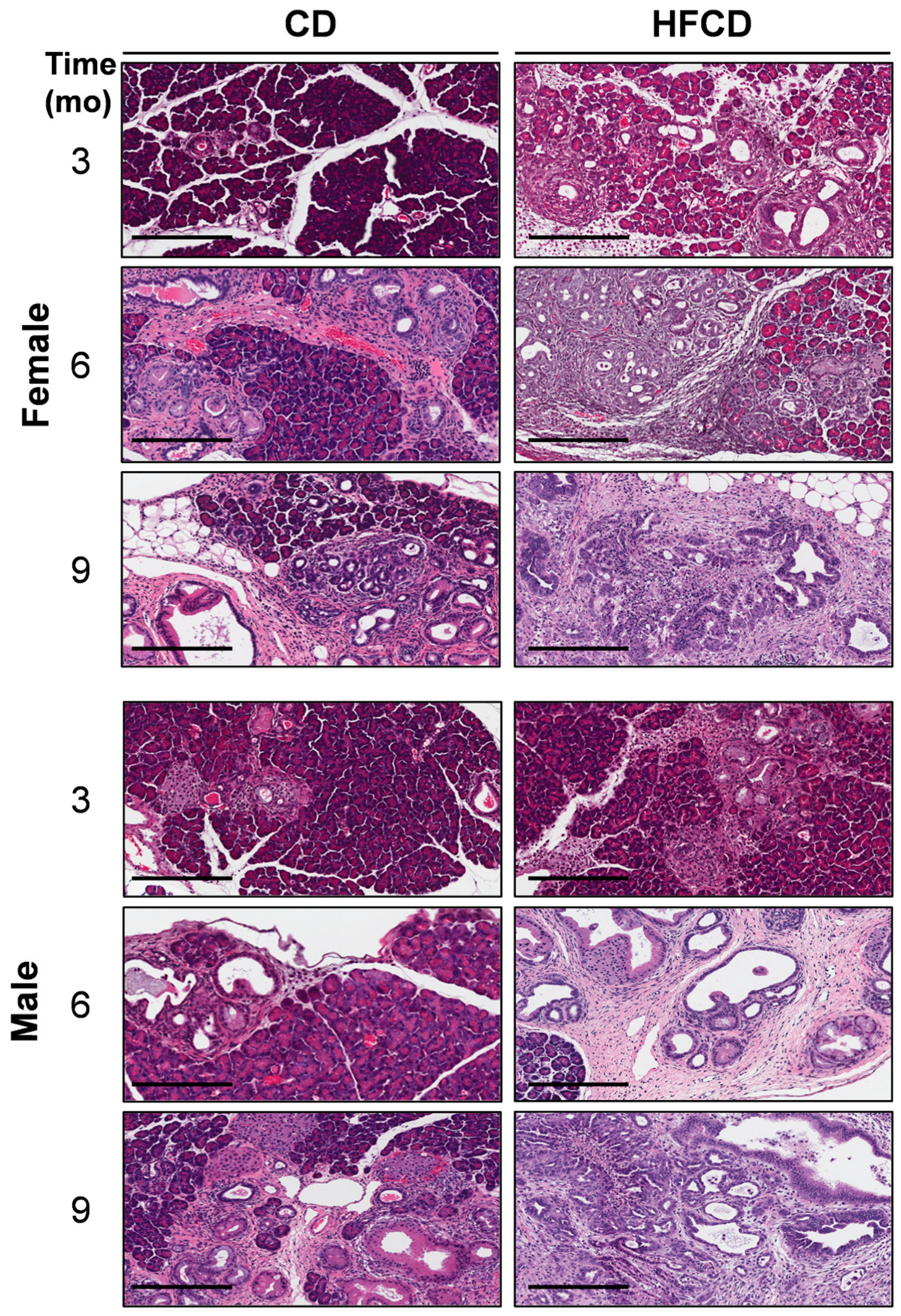Cancers 16 01593 g001