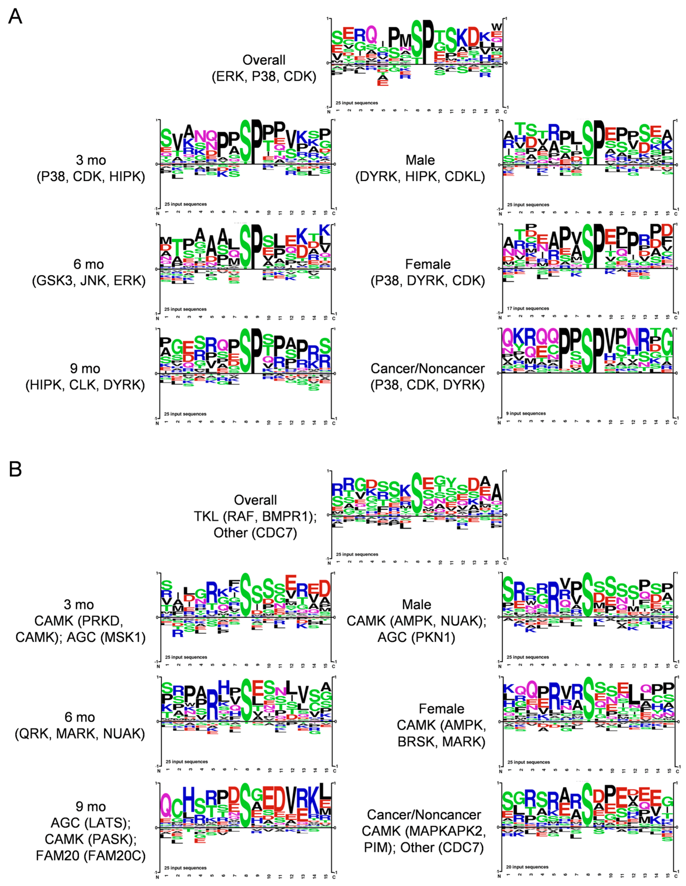 Cancers 16 01593 g004