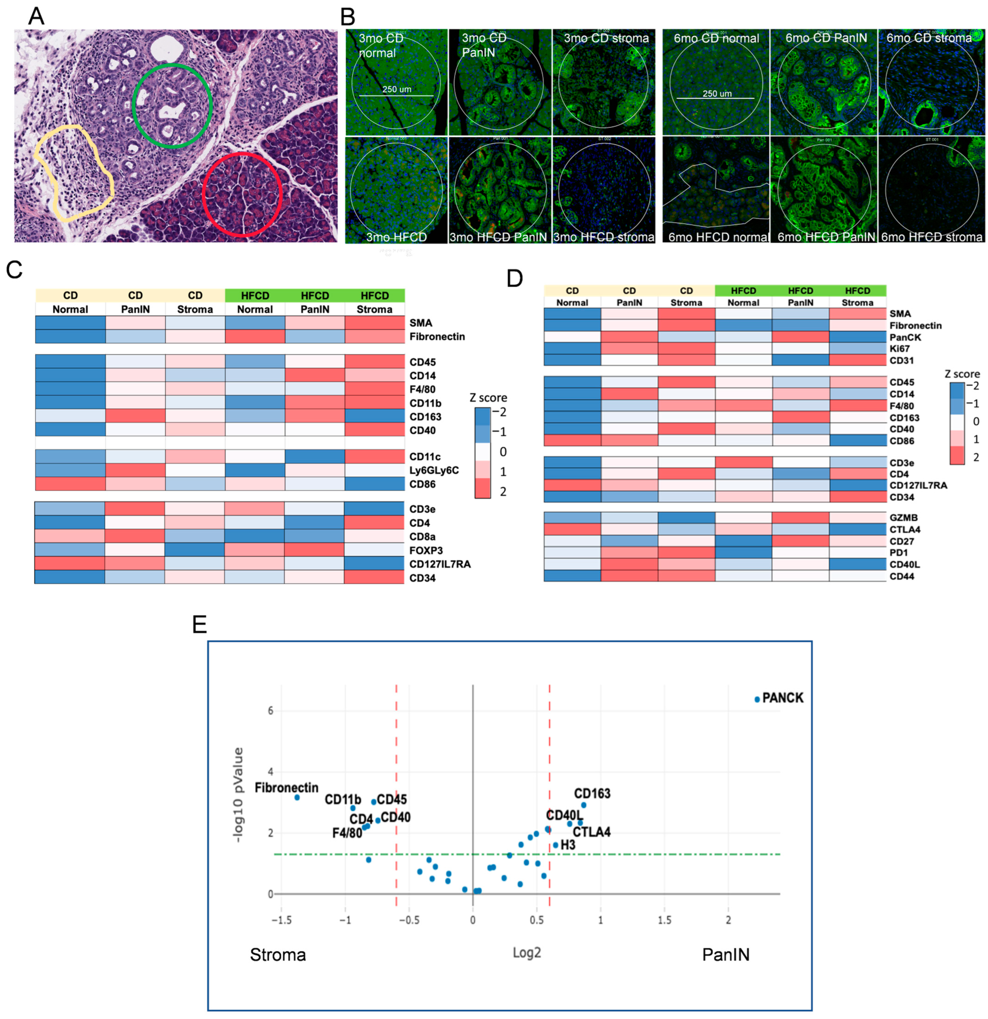 Cancers 16 01593 g006