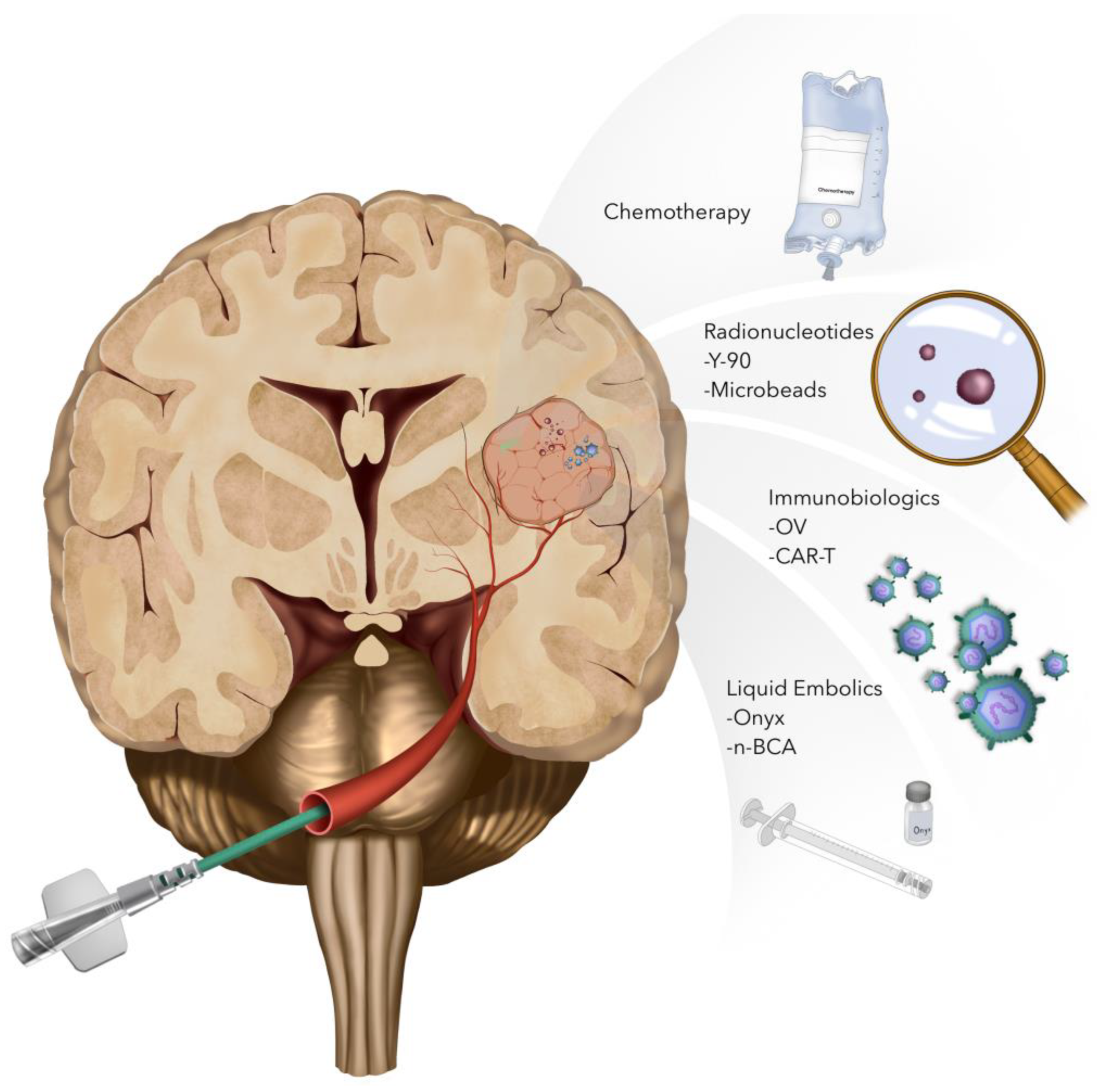 Cancers 16 01594 g002