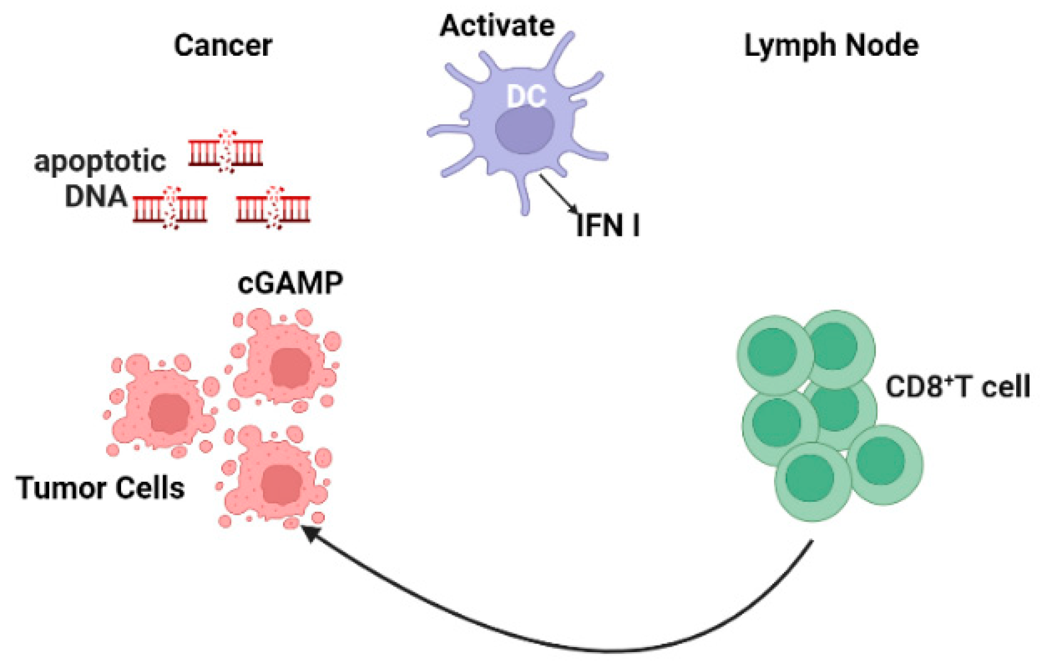 Cancers 16 01600 g002