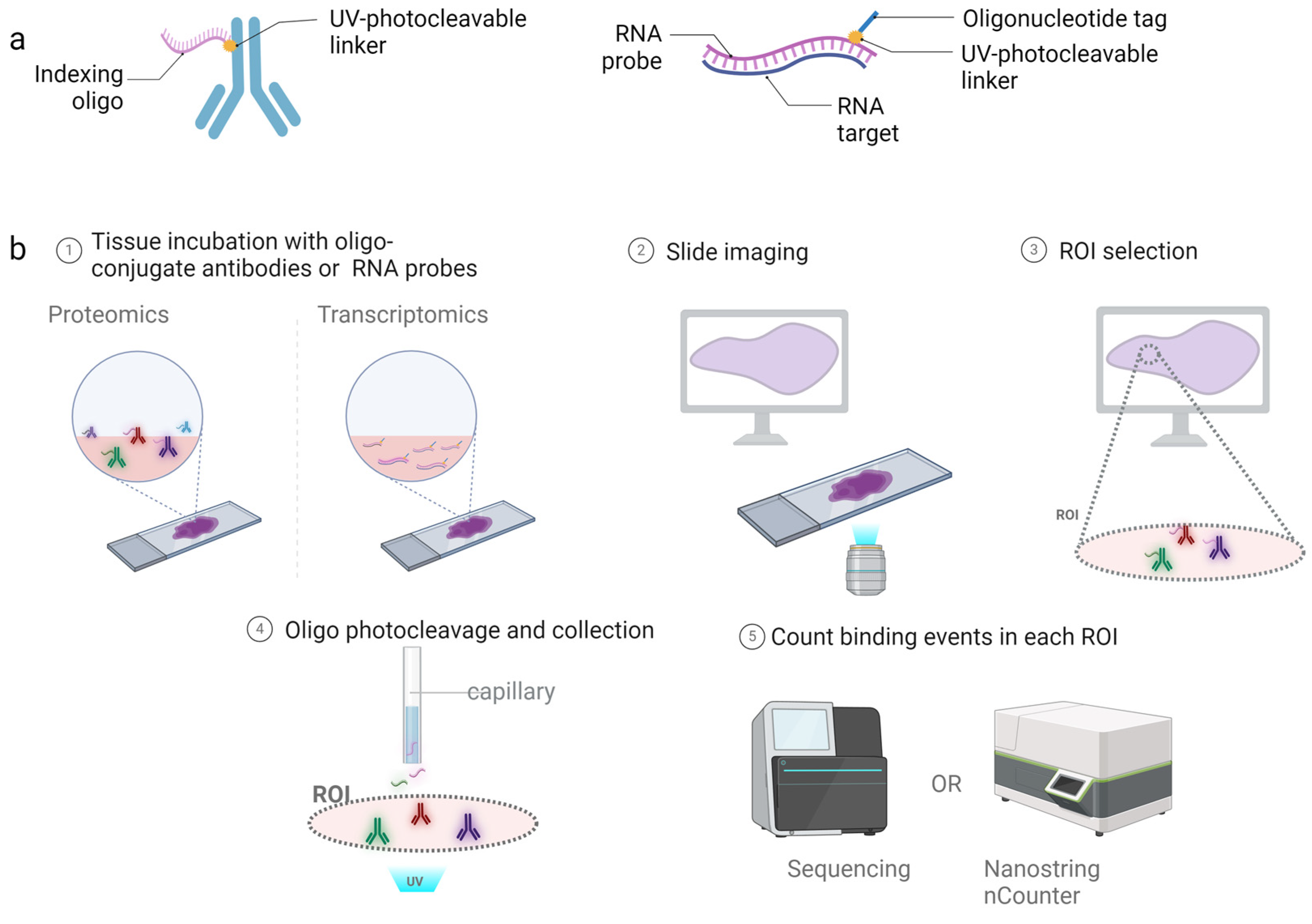 Cancers 16 01615 g001
