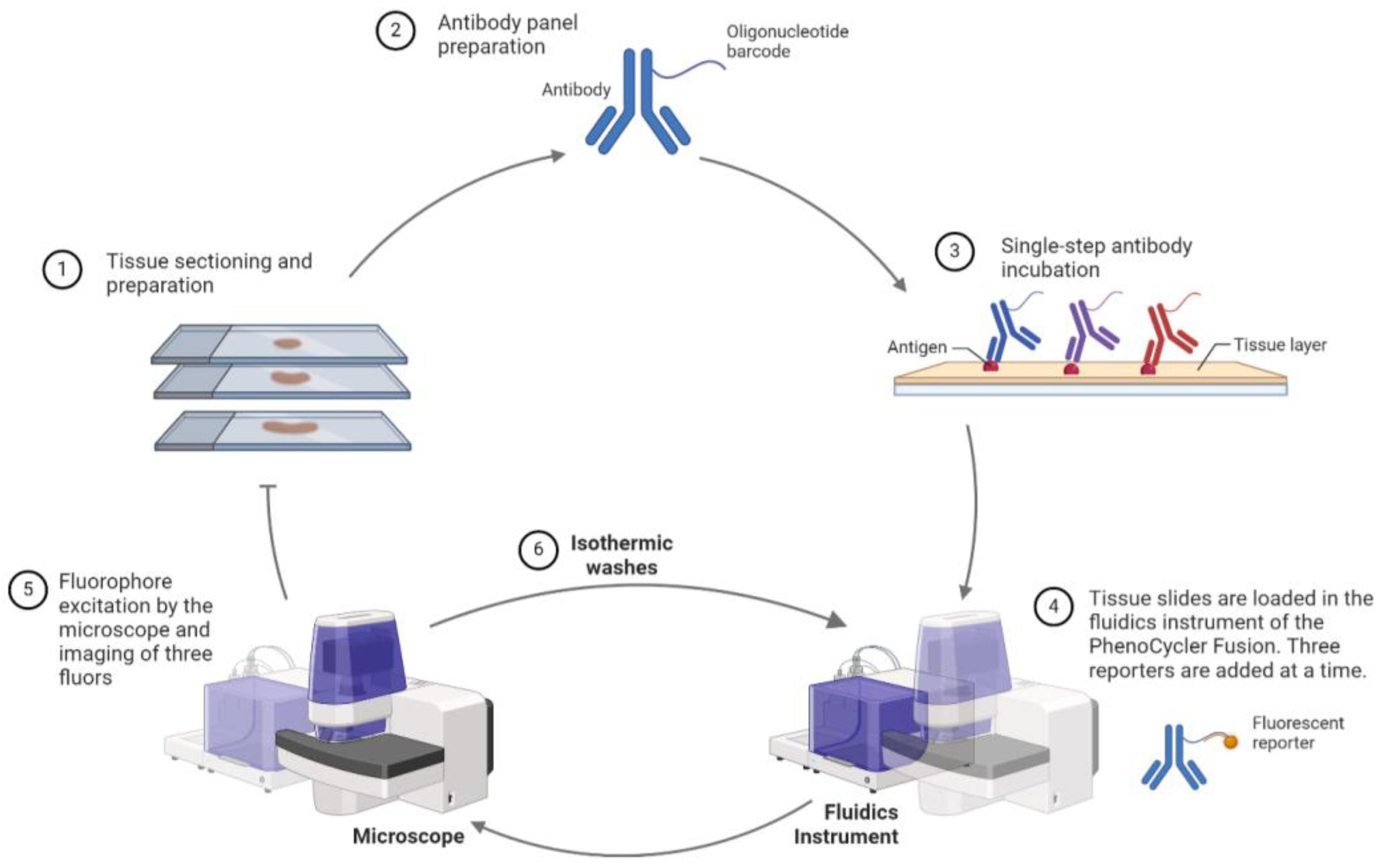 Cancers 16 01615 g005