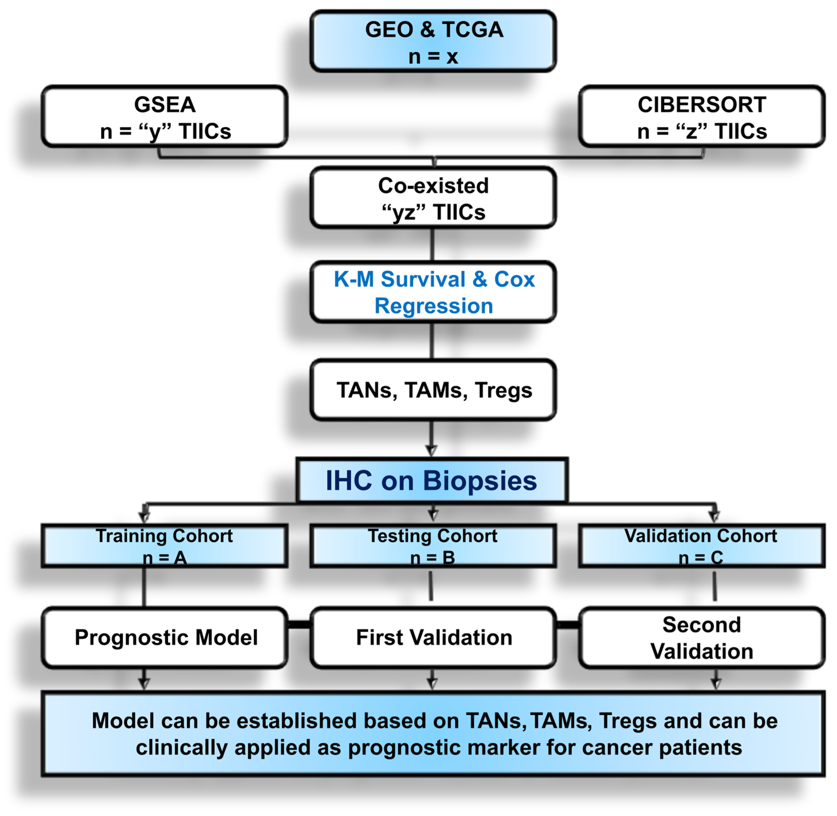 Cancers 16 01626 g001