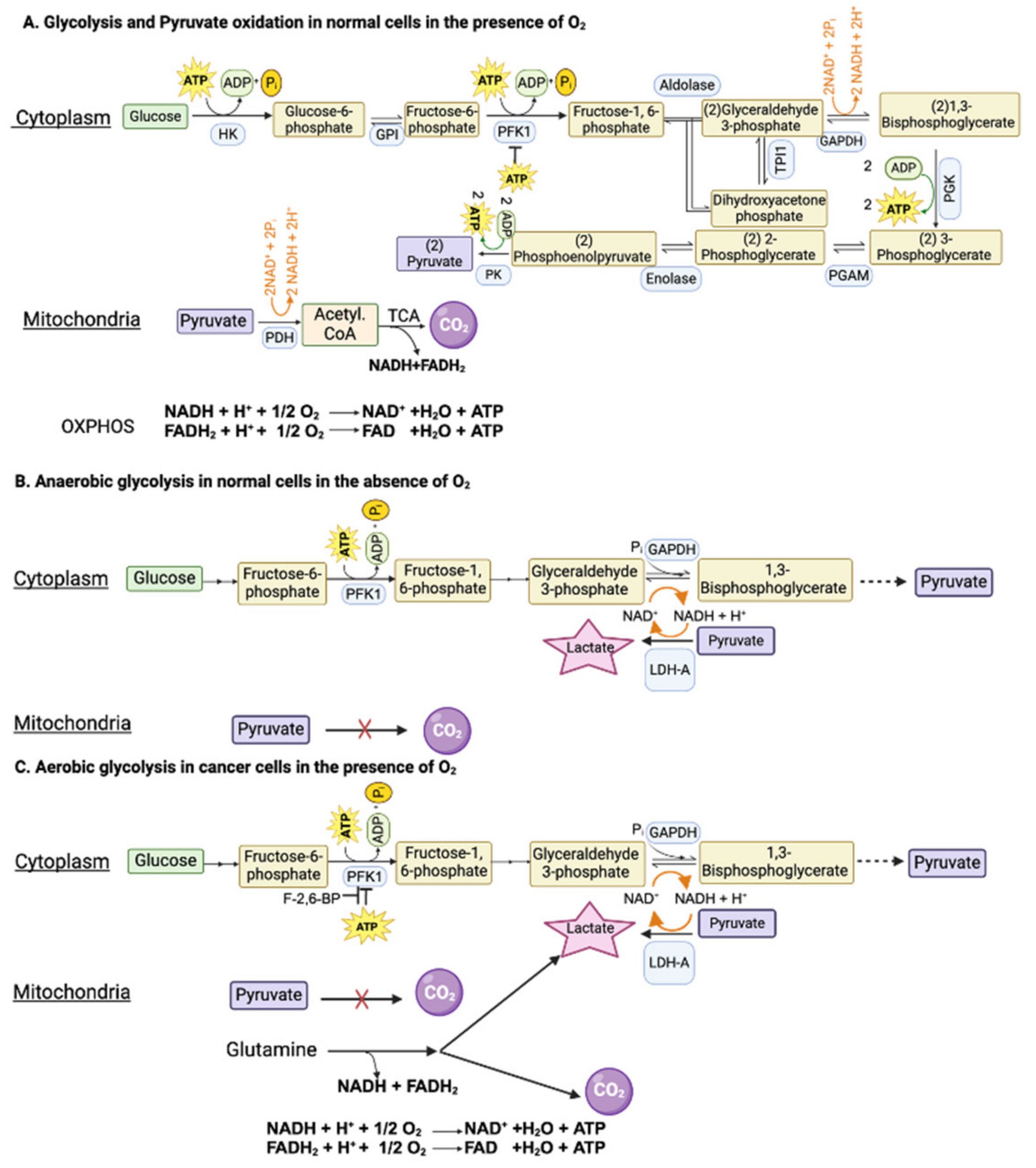 Cancers 16 01627 g001