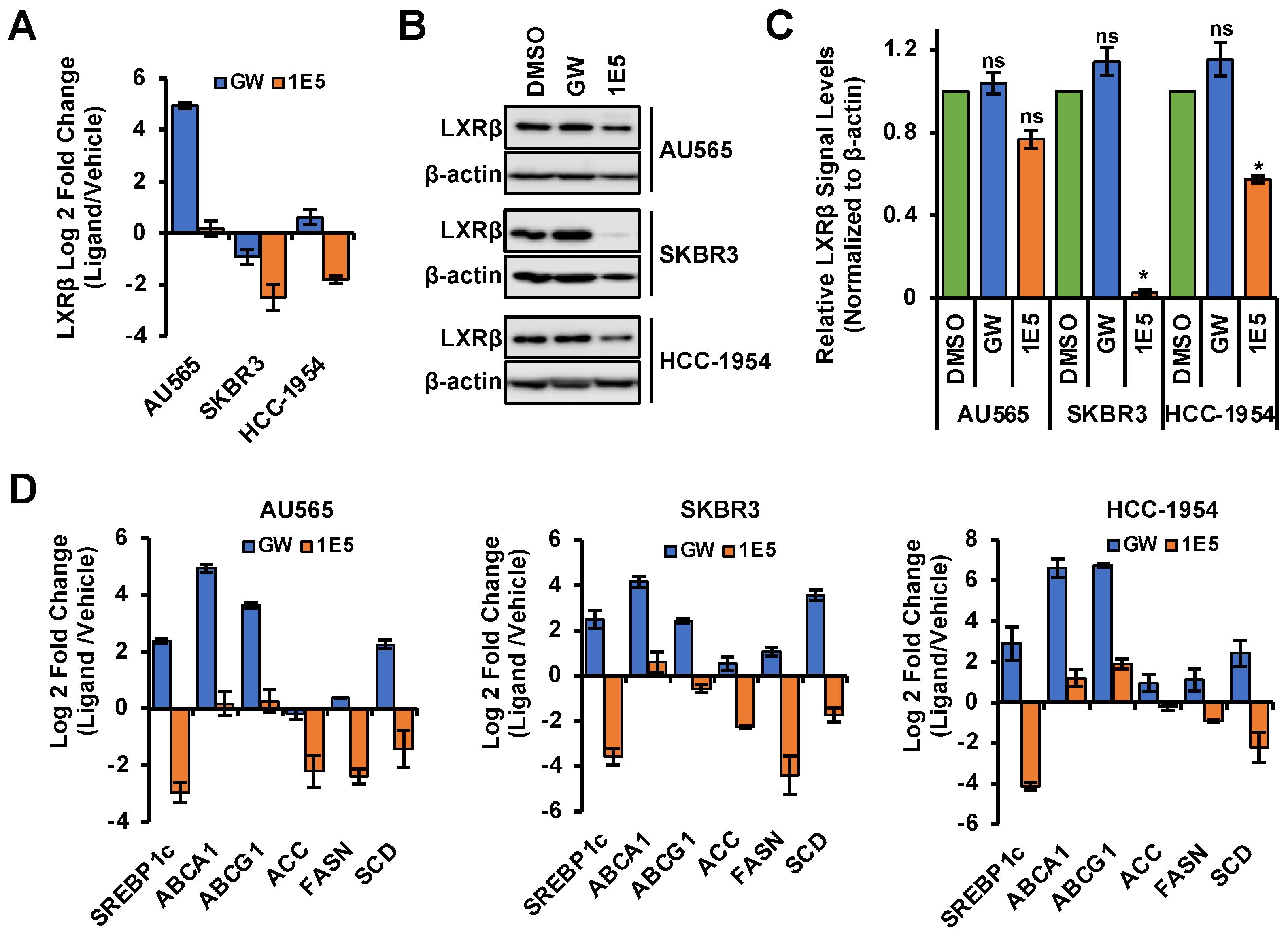 Cancers 16 01651 g002
