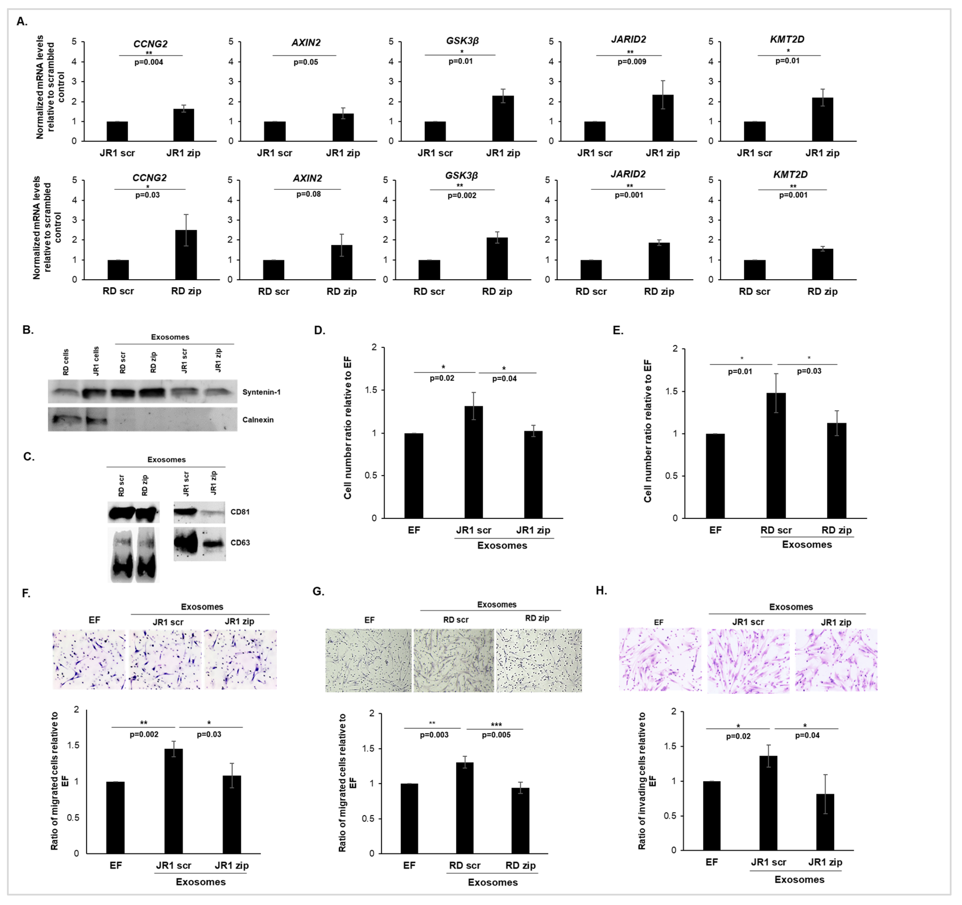 Cancers 16 01652 g002 Cancers 16 01652 g002