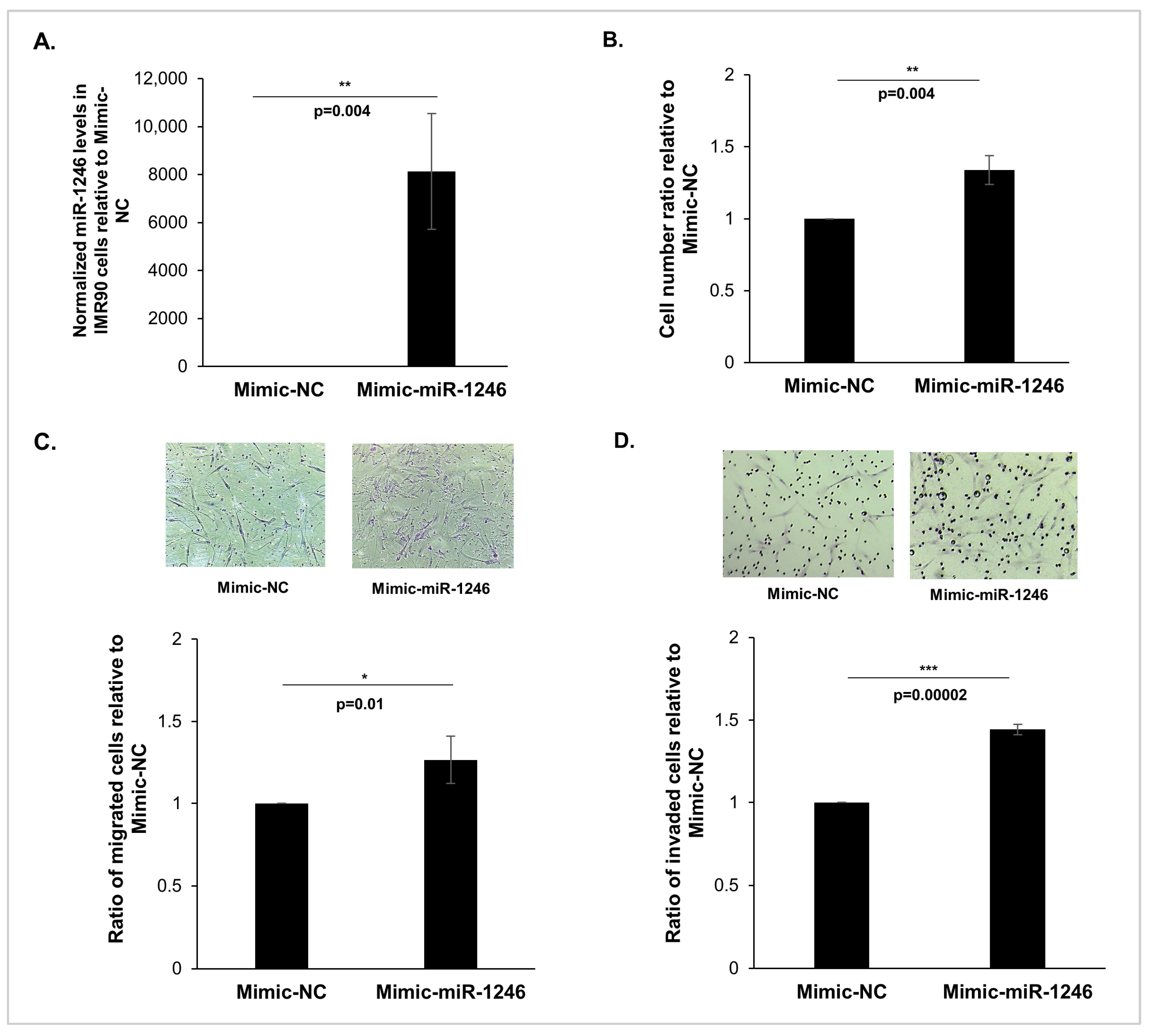 Cancers 16 01652 g003 Cancers 16 01652 g003