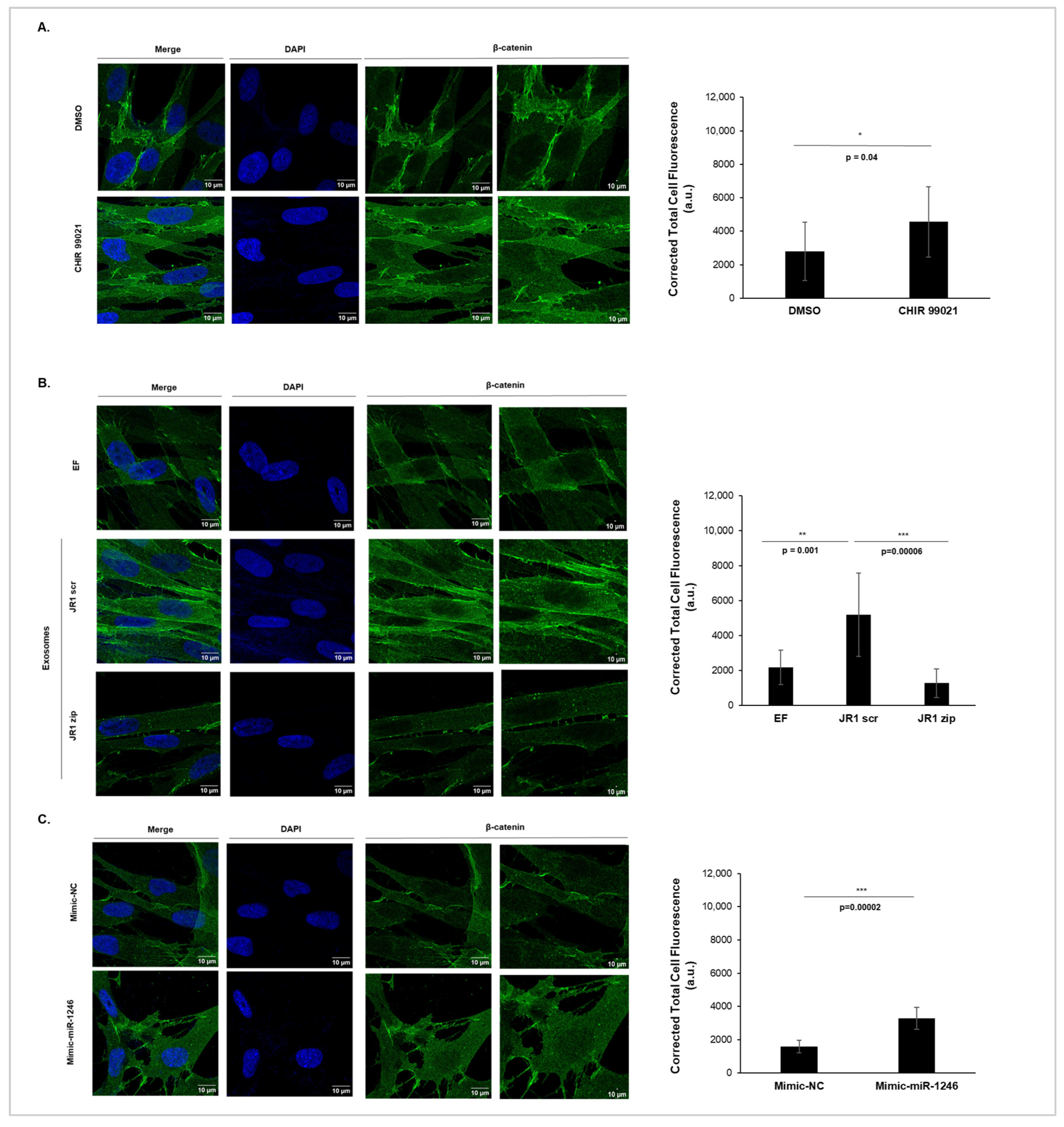 Cancers 16 01652 g005 Cancers 16 01652 g005