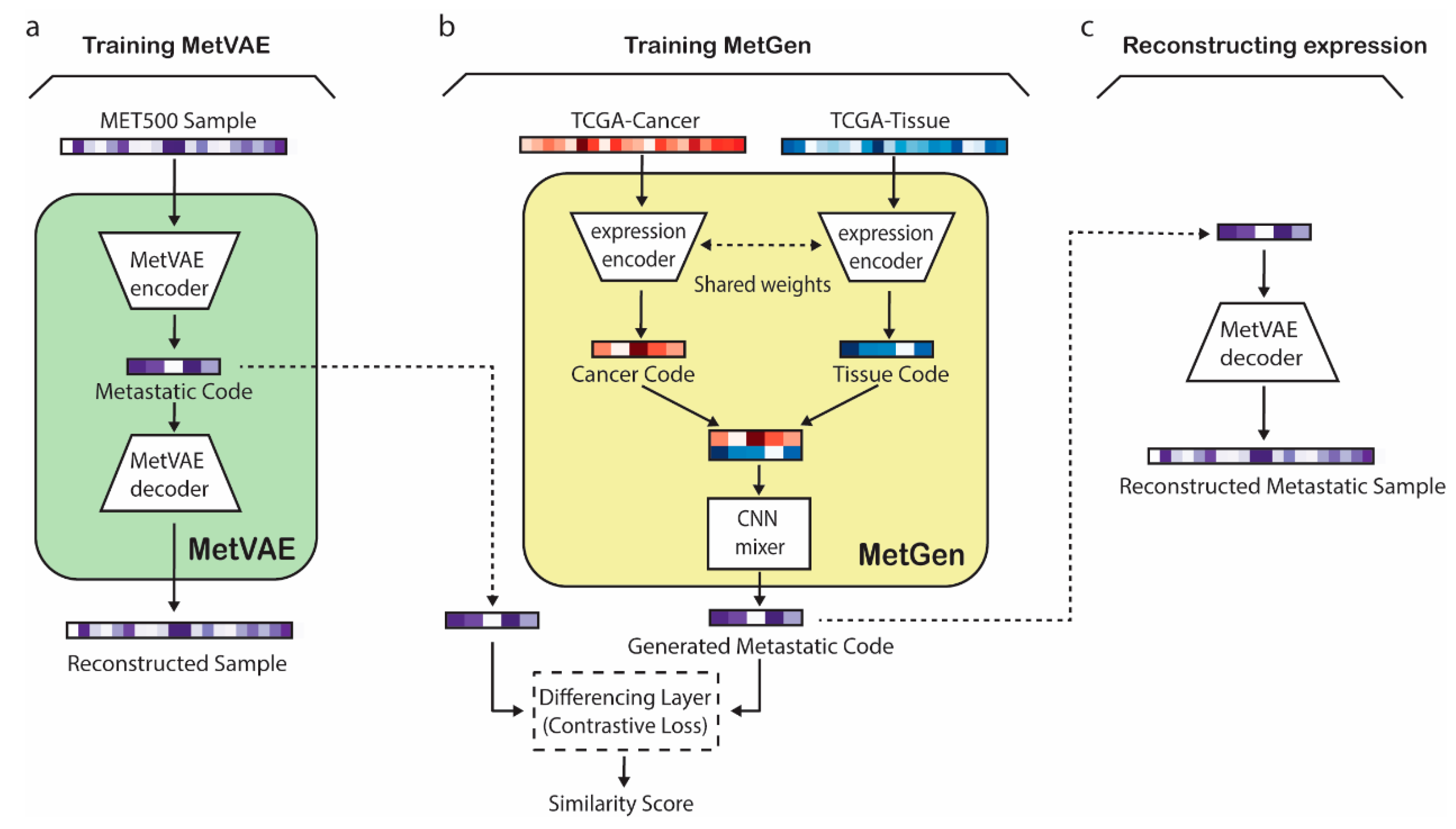 Cancers 16 01653 g001