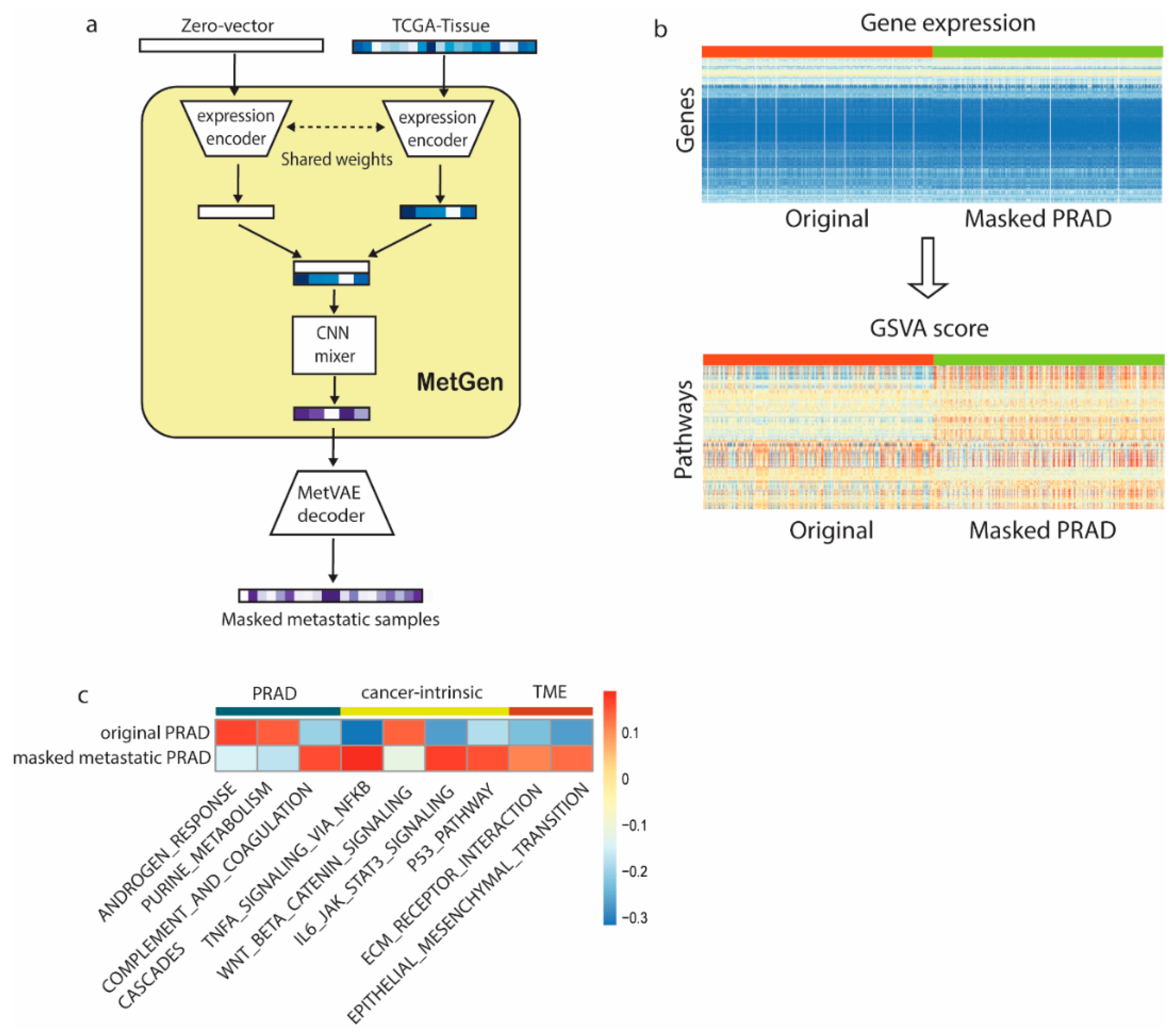 Cancers 16 01653 g004