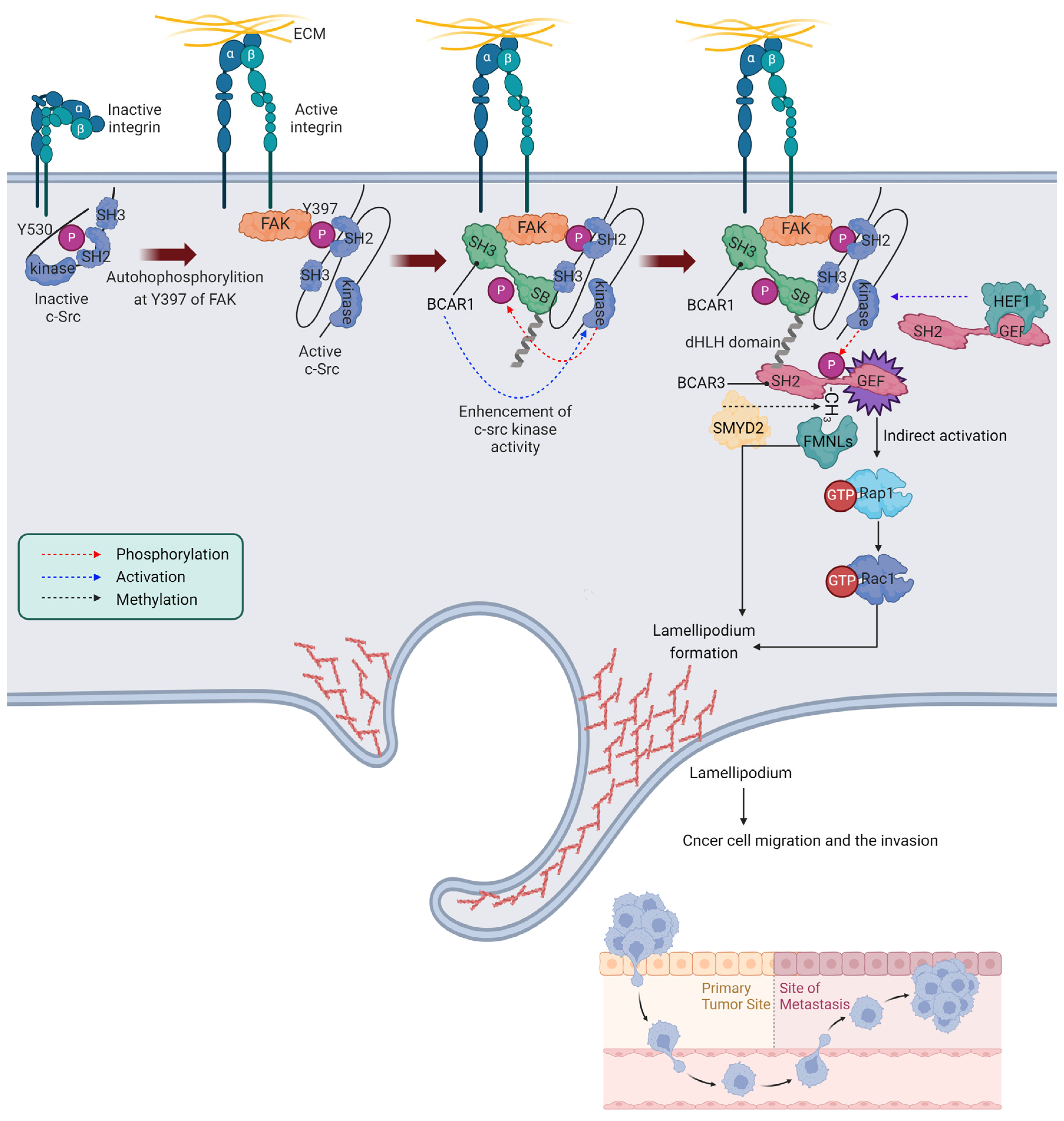 Cancers 16 01674 g002 Cancers 16 01674 g002