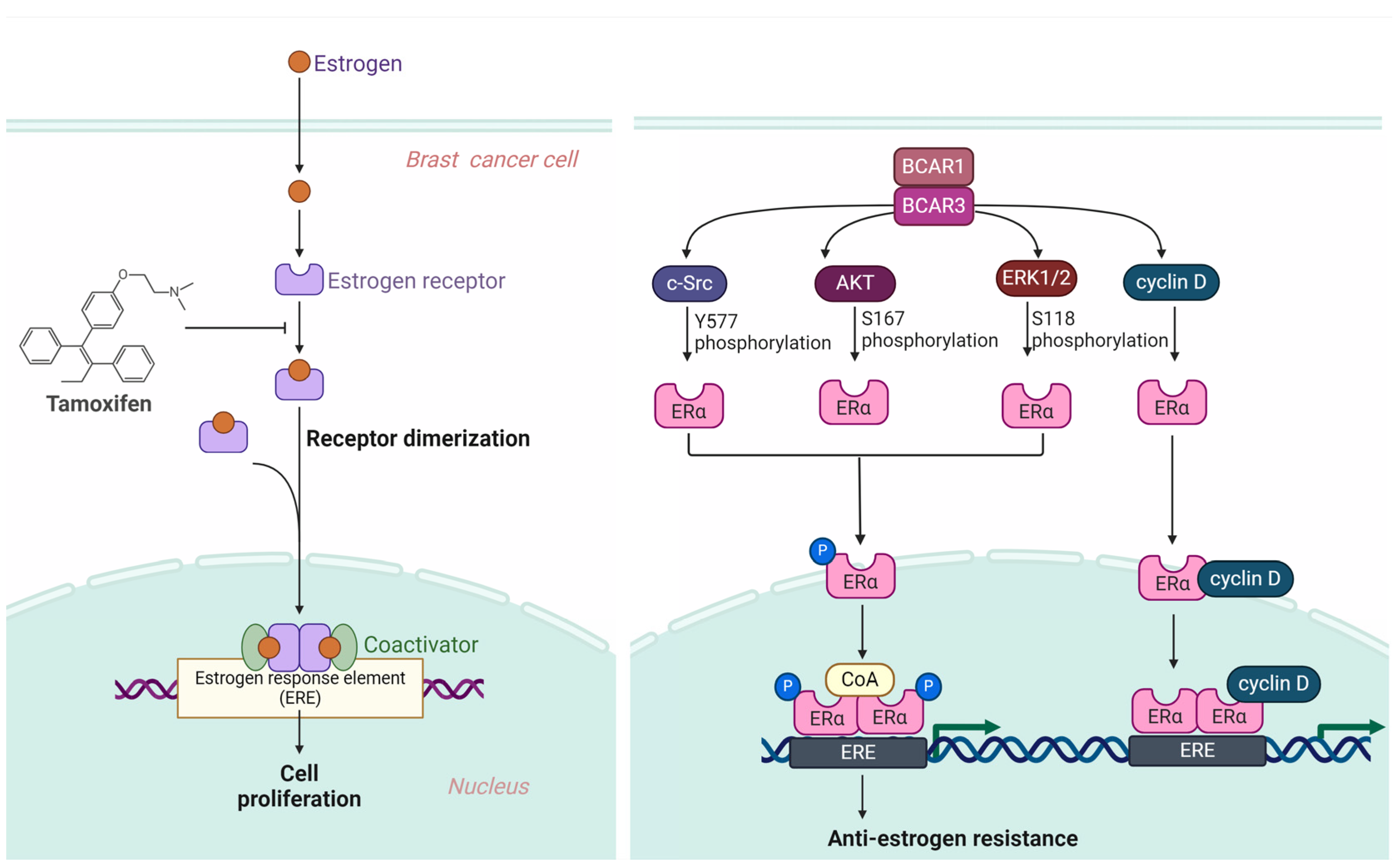 Cancers 16 01674 g003 Cancers 16 01674 g003
