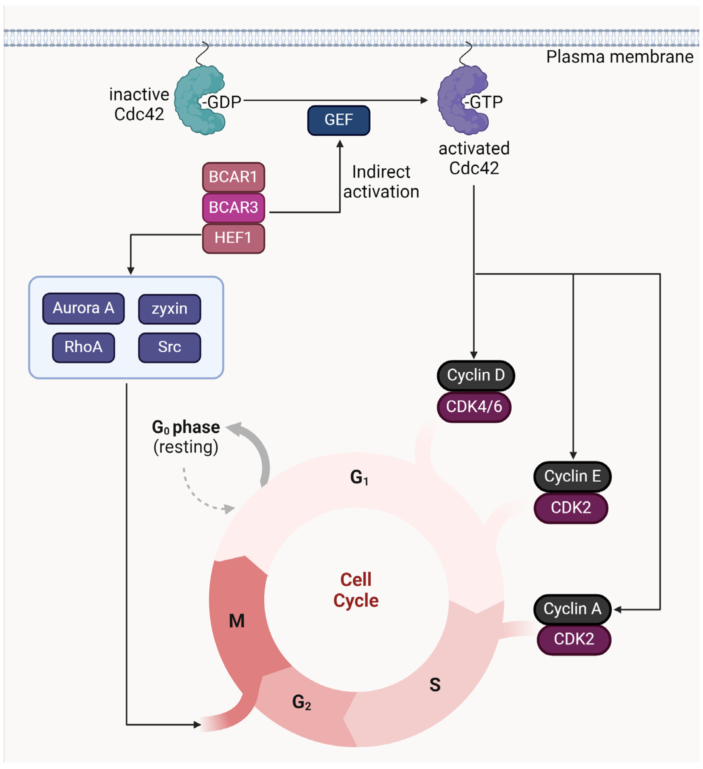 Cancers 16 01674 g004 Cancers 16 01674 g004