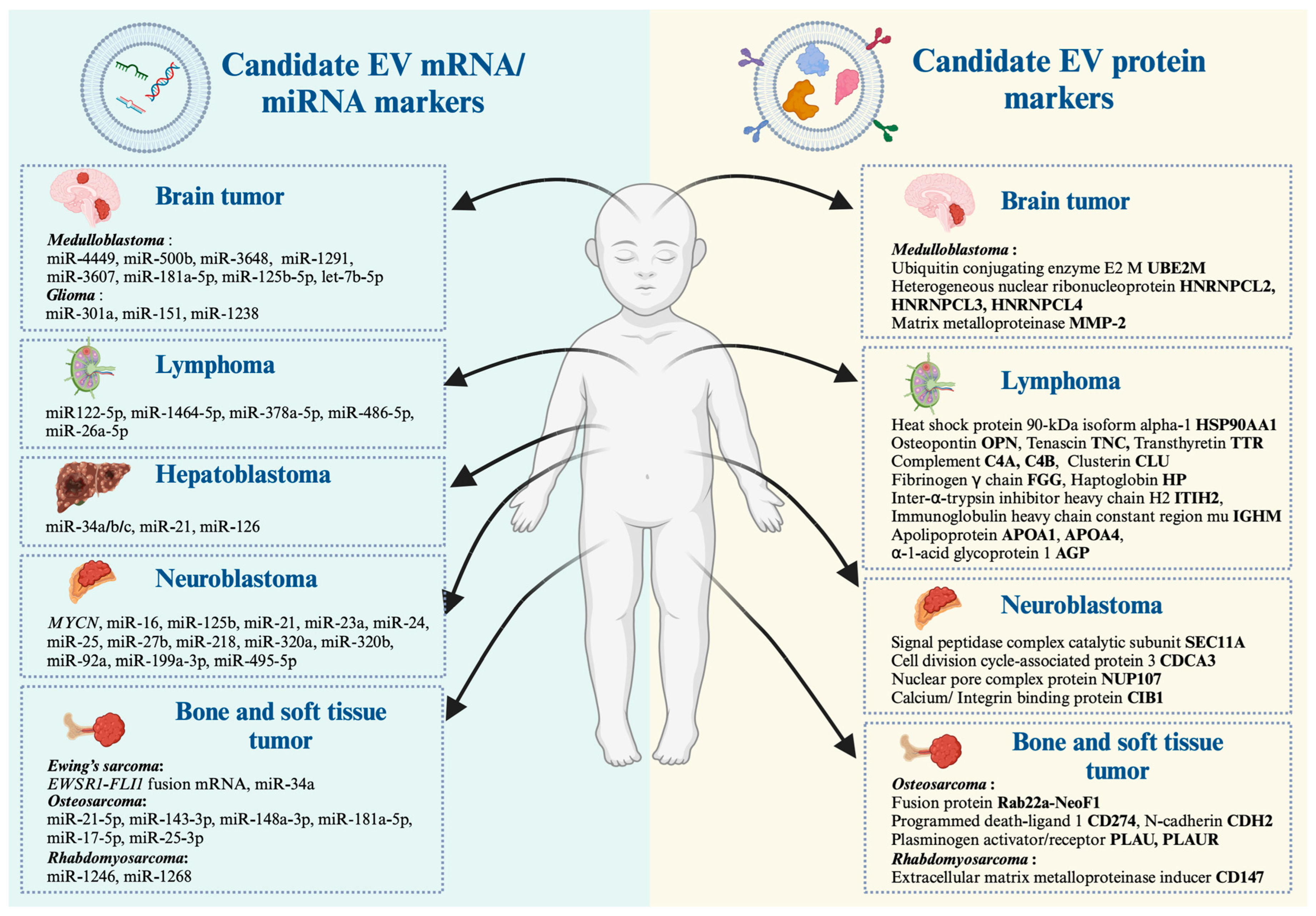 Cancers 16 01681 g001