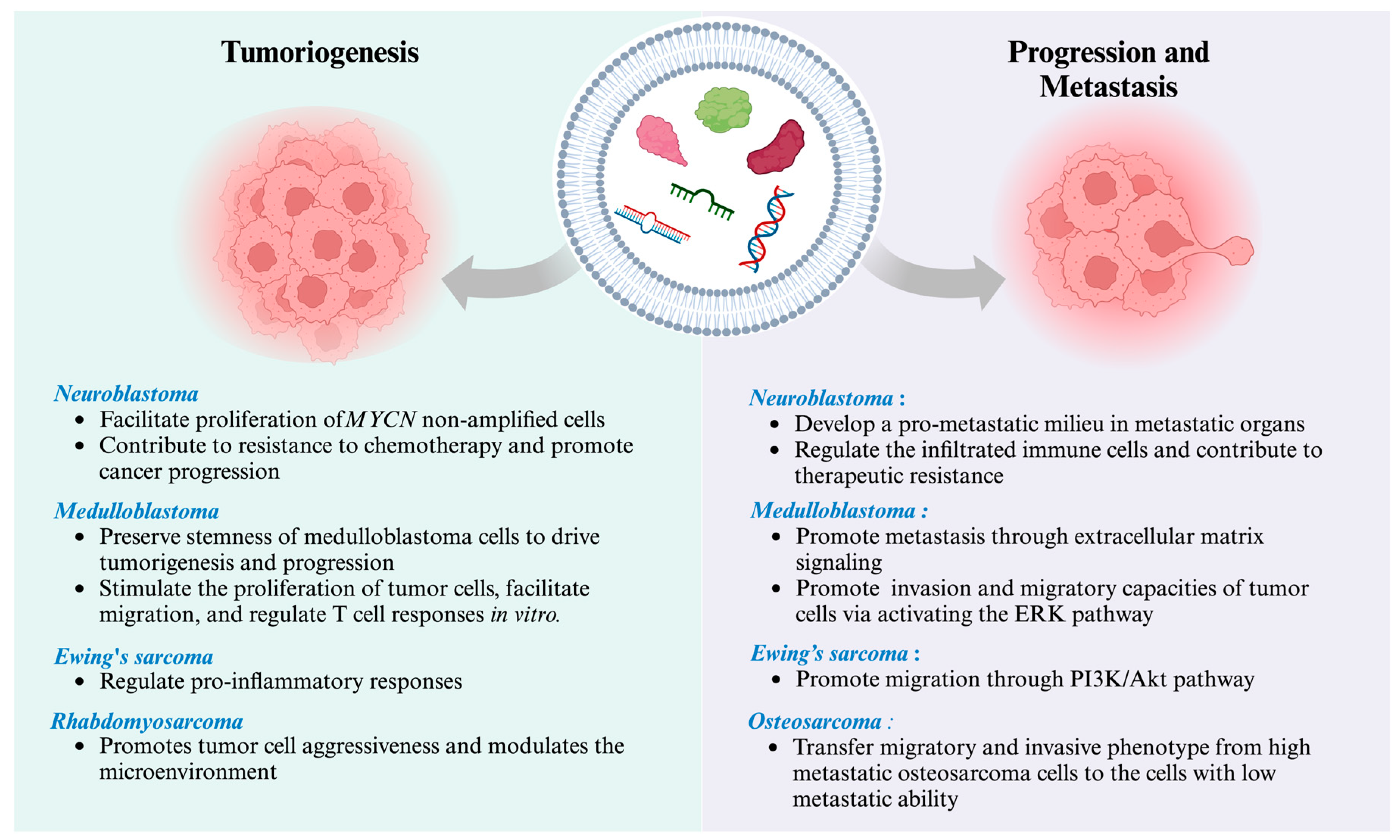 Cancers 16 01681 g002