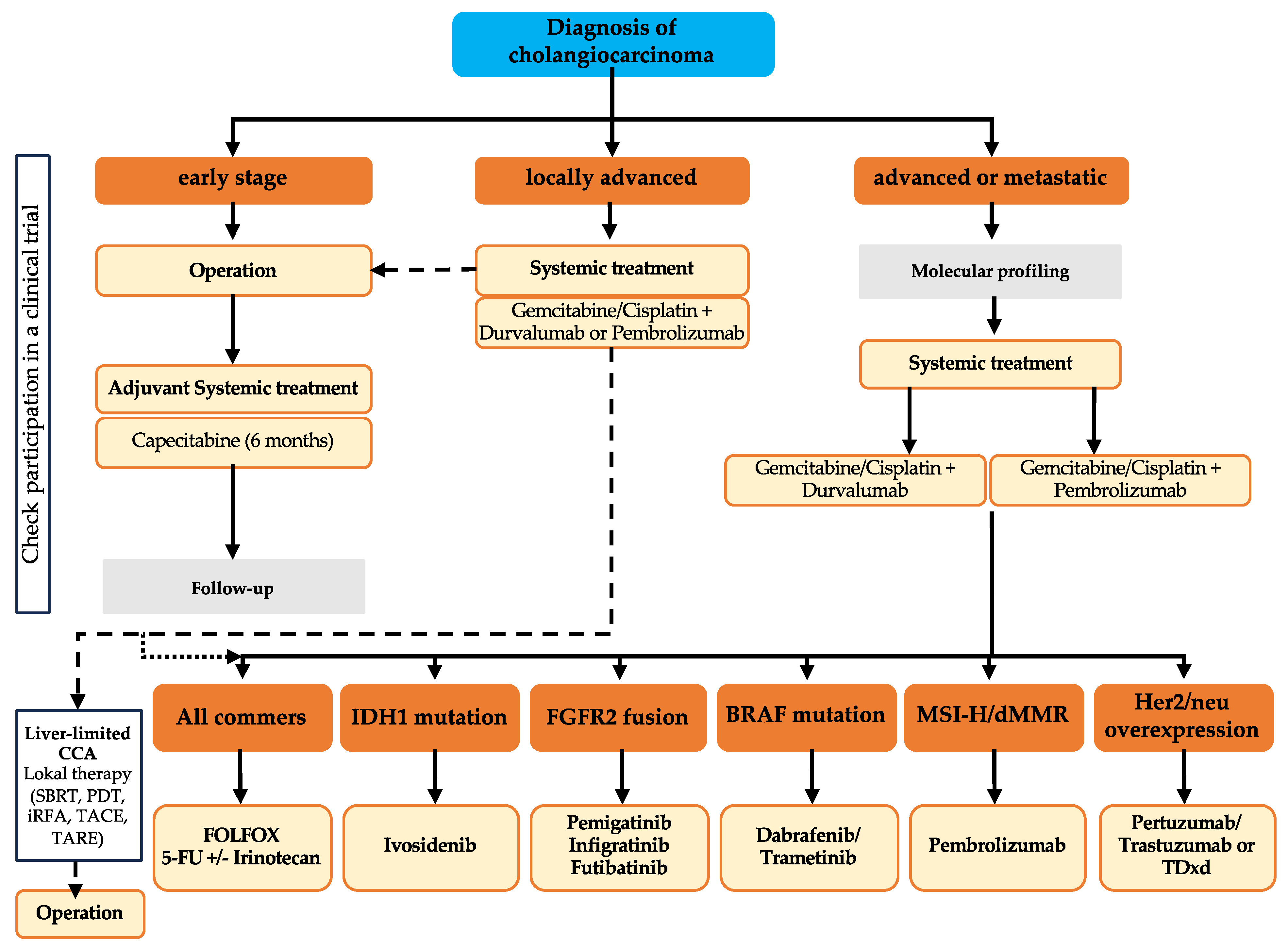 Cancers 16 01690 g002 Cancers 16 01690 g002