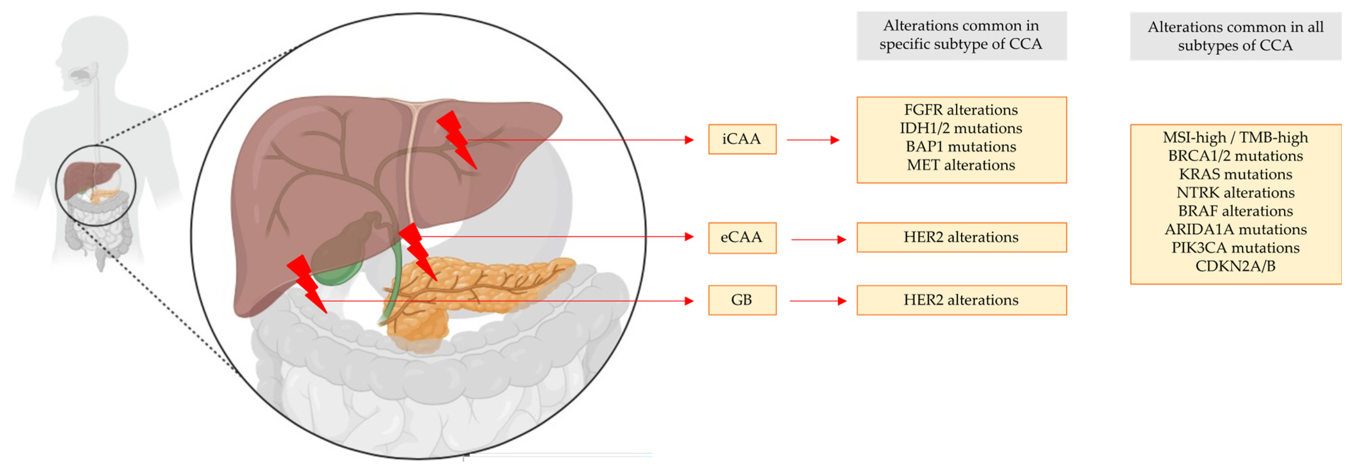 Cancers 16 01690 g003 Cancers 16 01690 g003