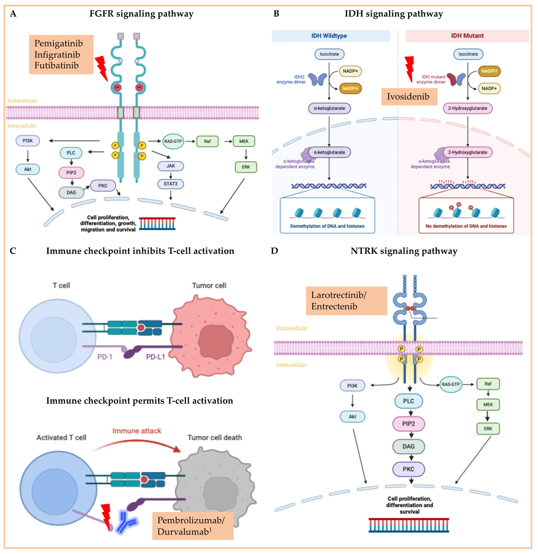 Cancers 16 01690 g004 Cancers 16 01690 g004