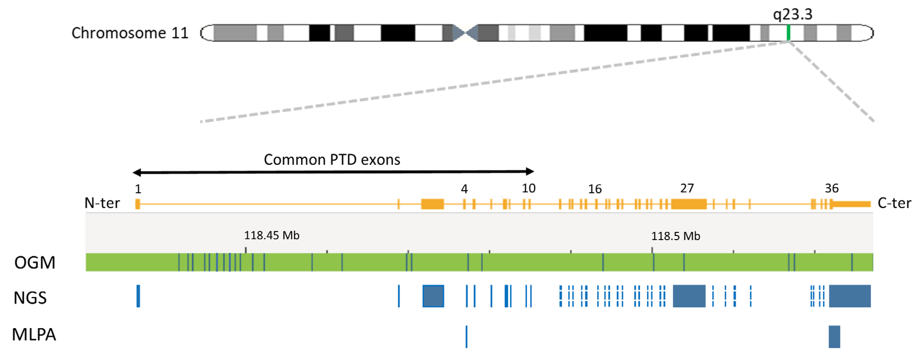 Cancers 16 01693 g001