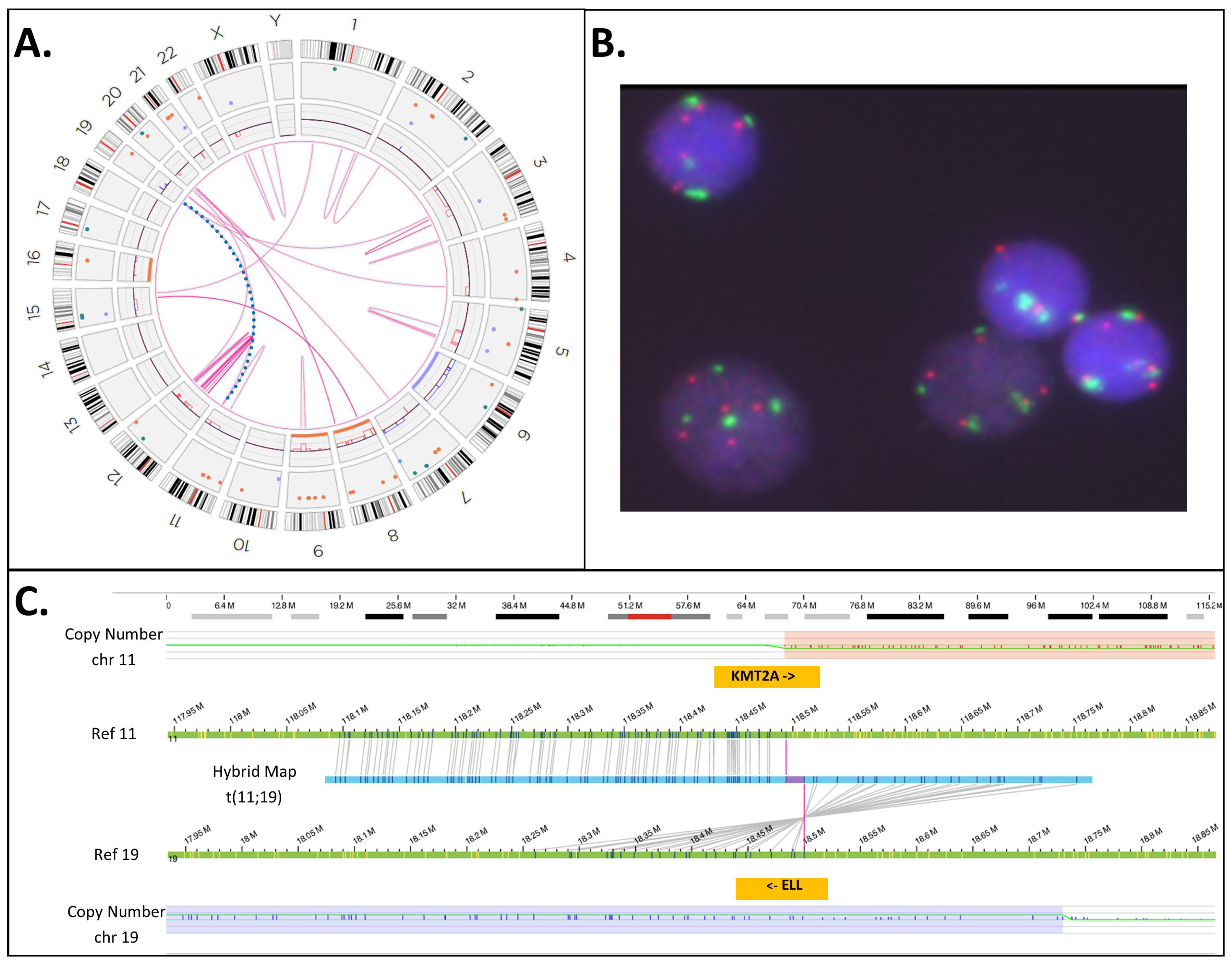 Cancers 16 01693 g005