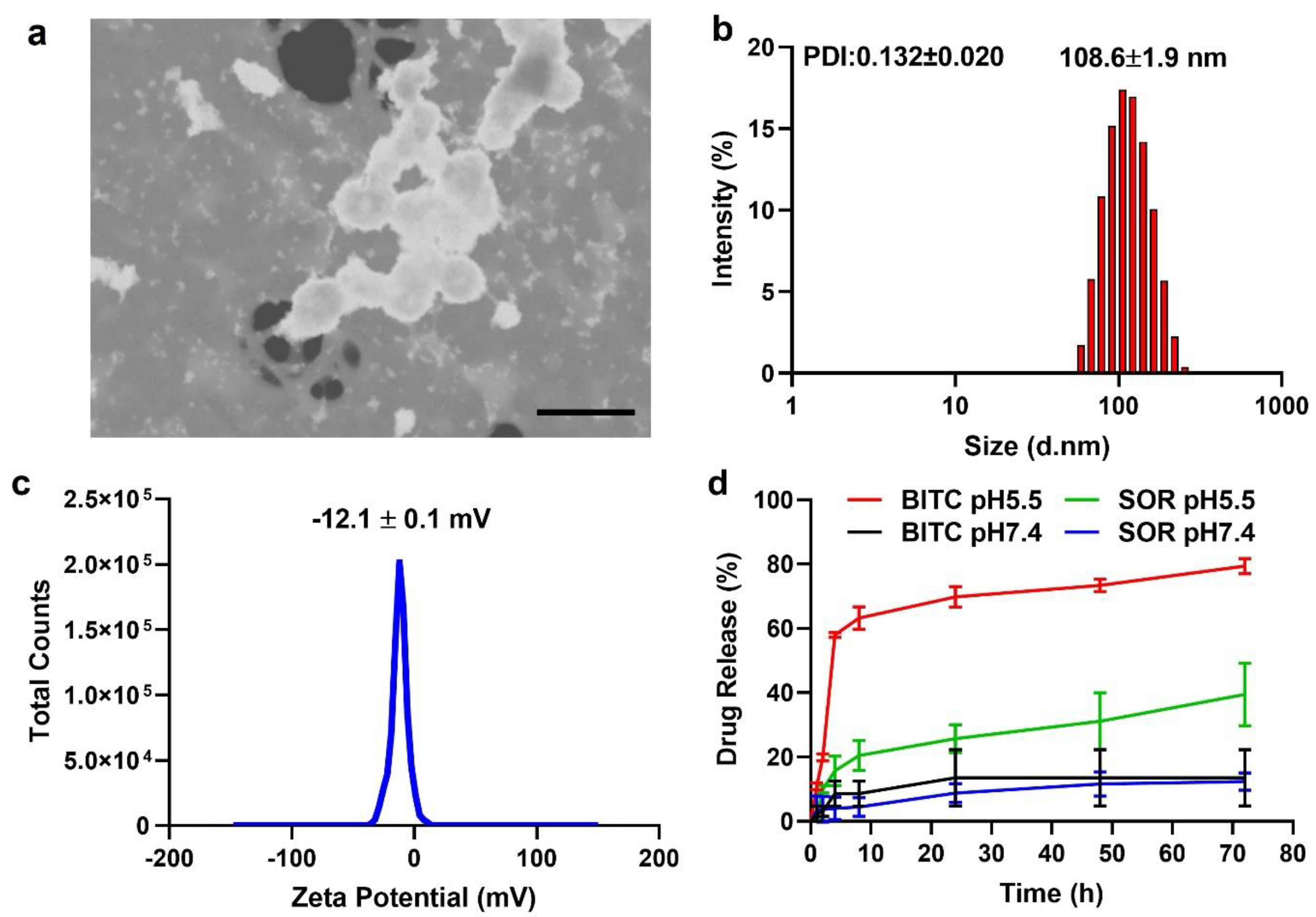 Cancers 16 01695 g001