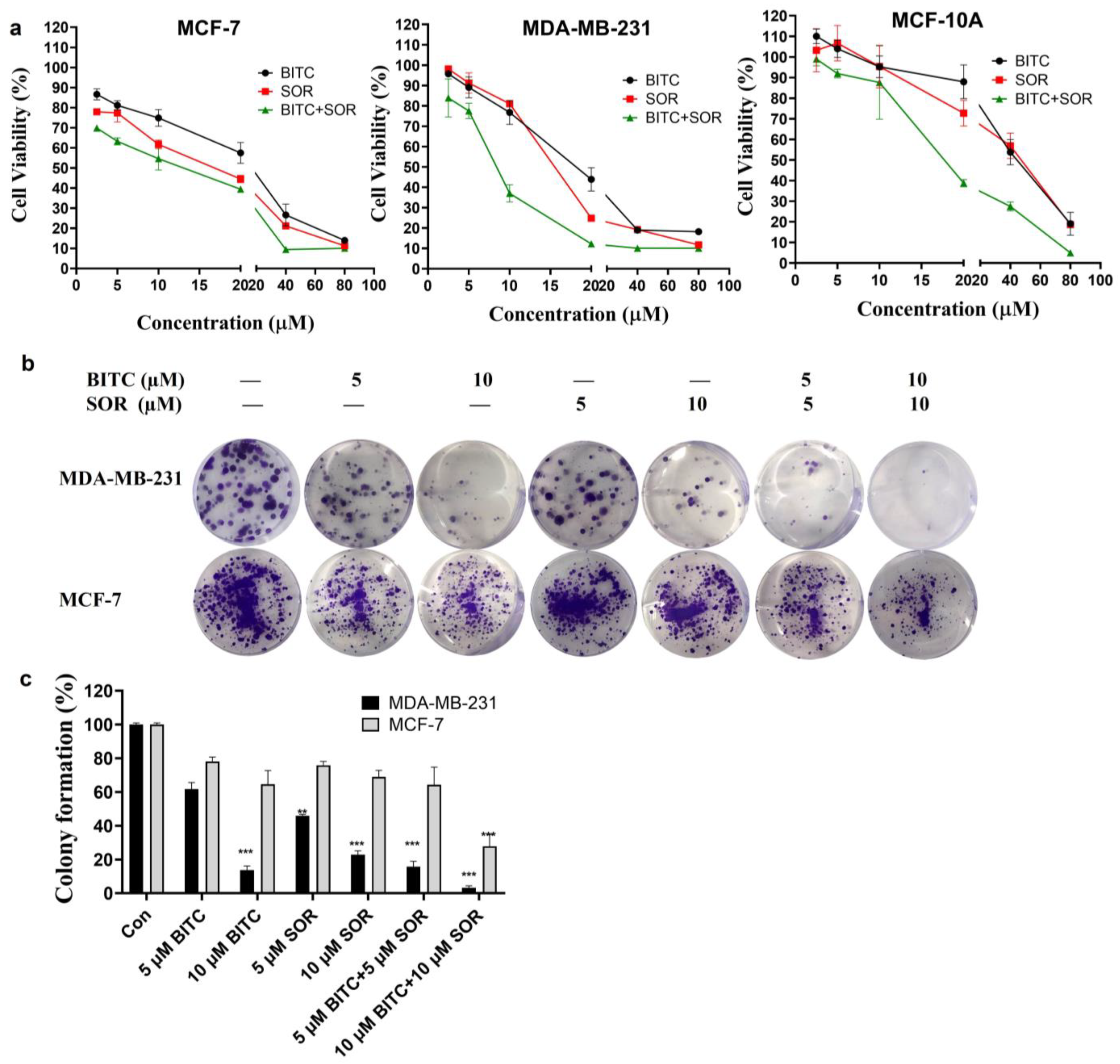 Cancers 16 01695 g002