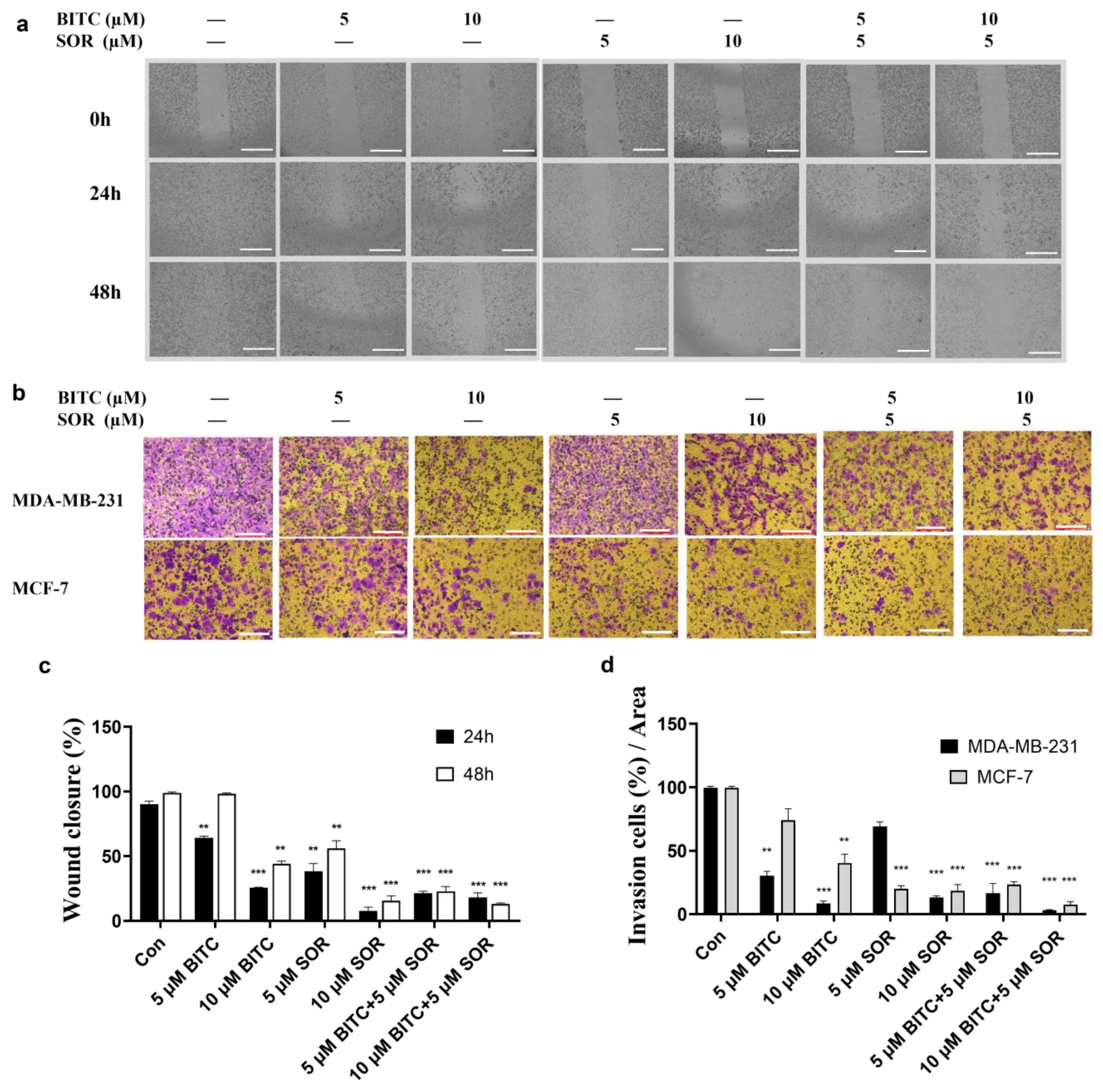 Cancers 16 01695 g003