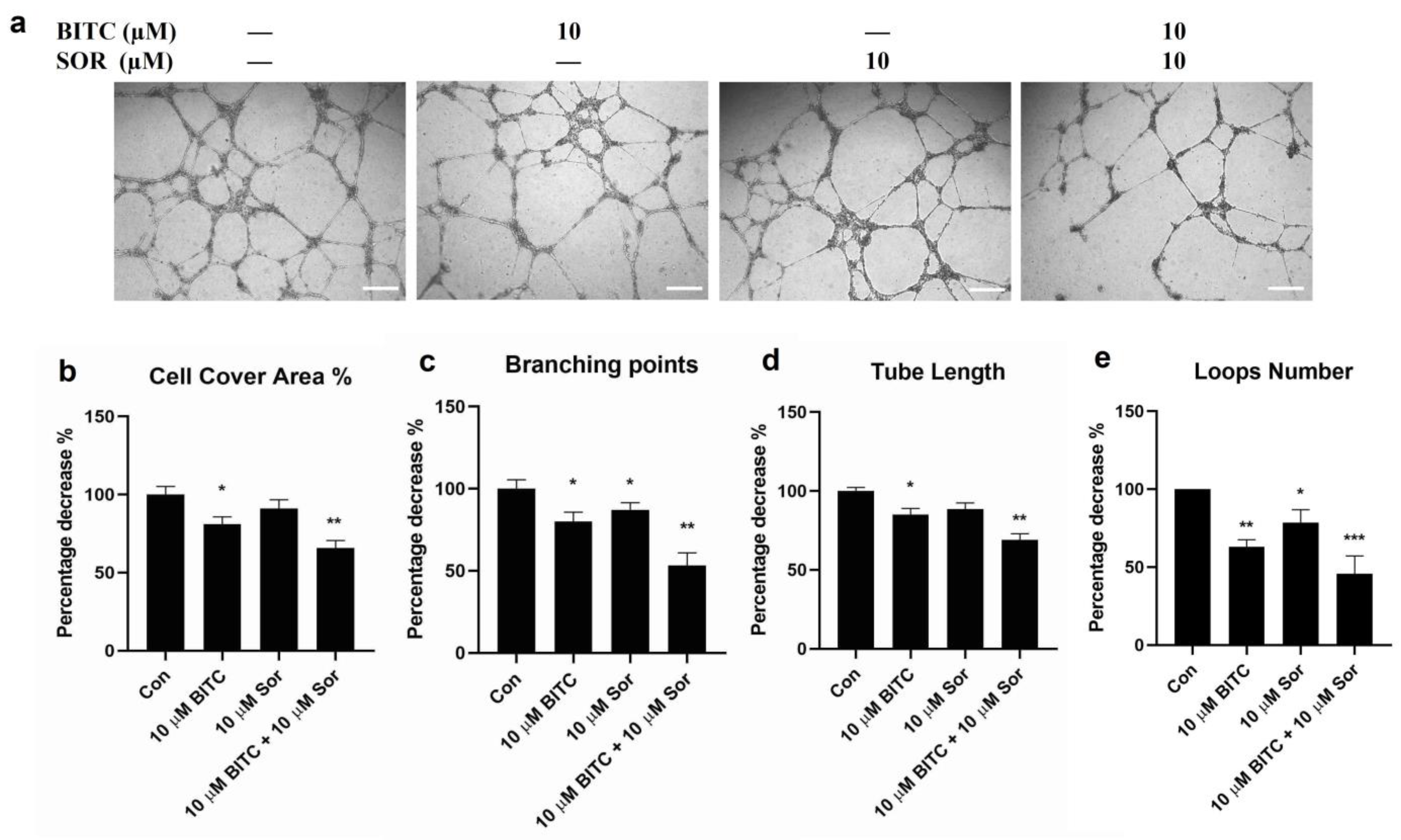 Cancers 16 01695 g004