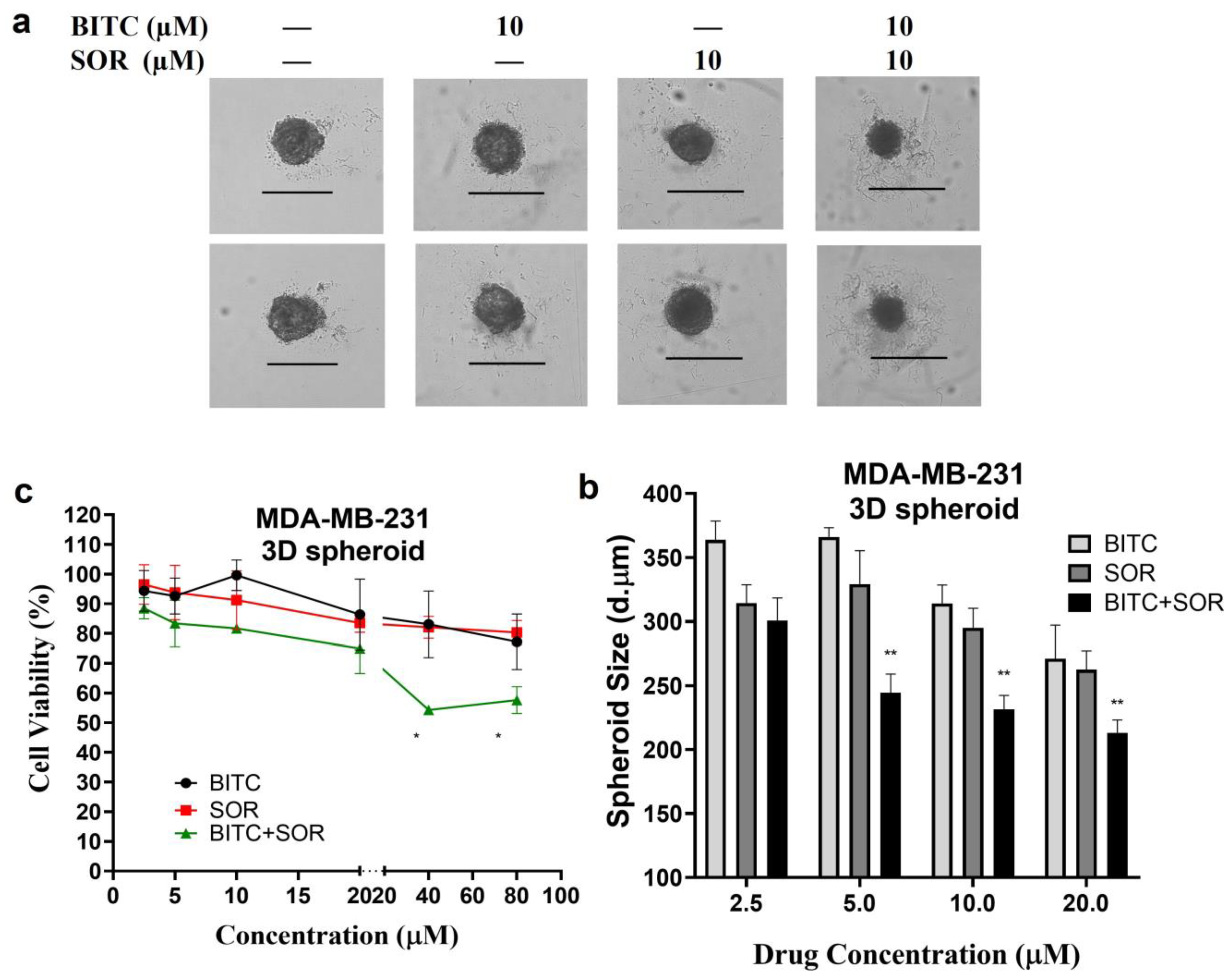 Cancers 16 01695 g006
