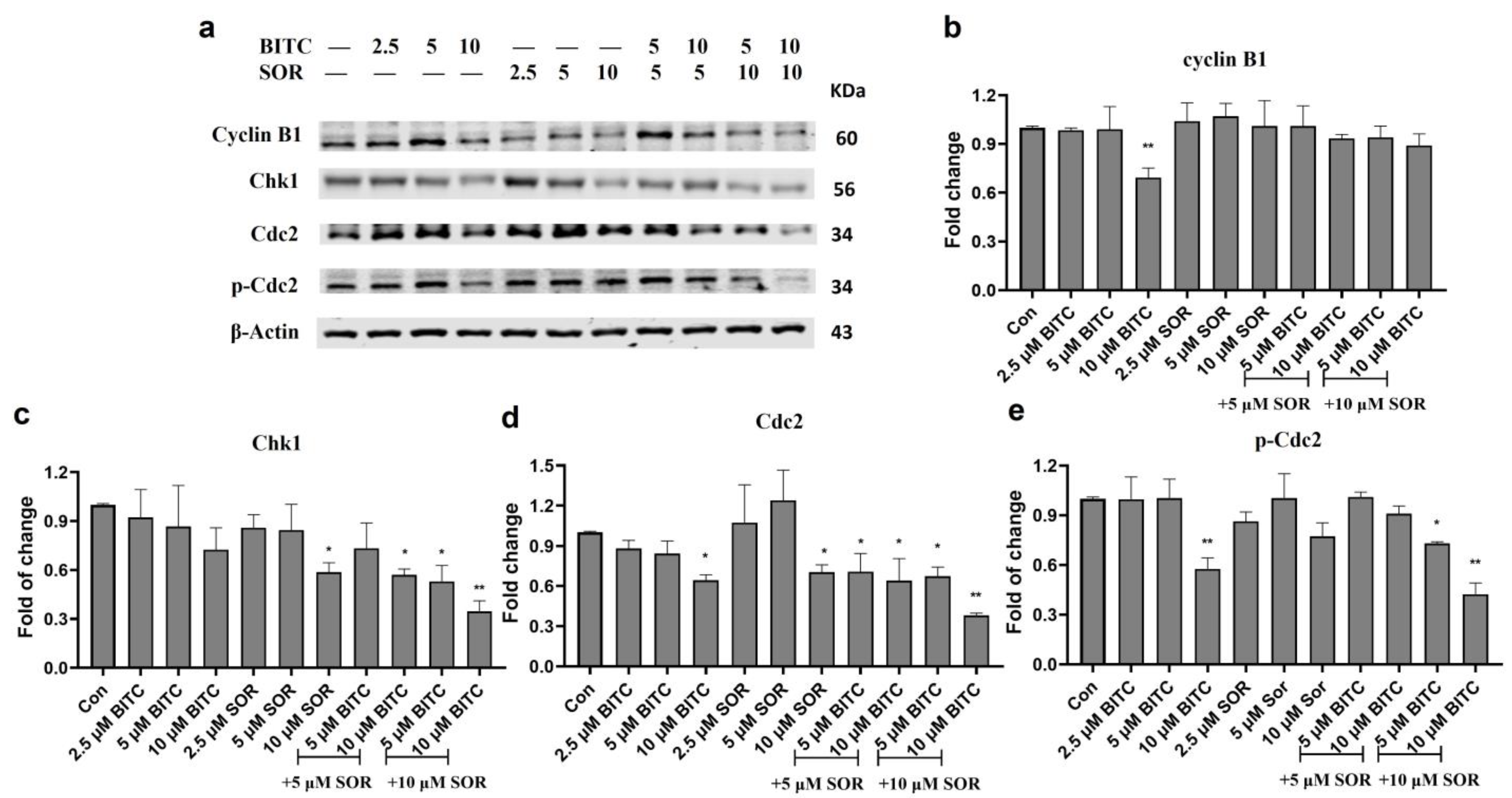 Cancers 16 01695 g007