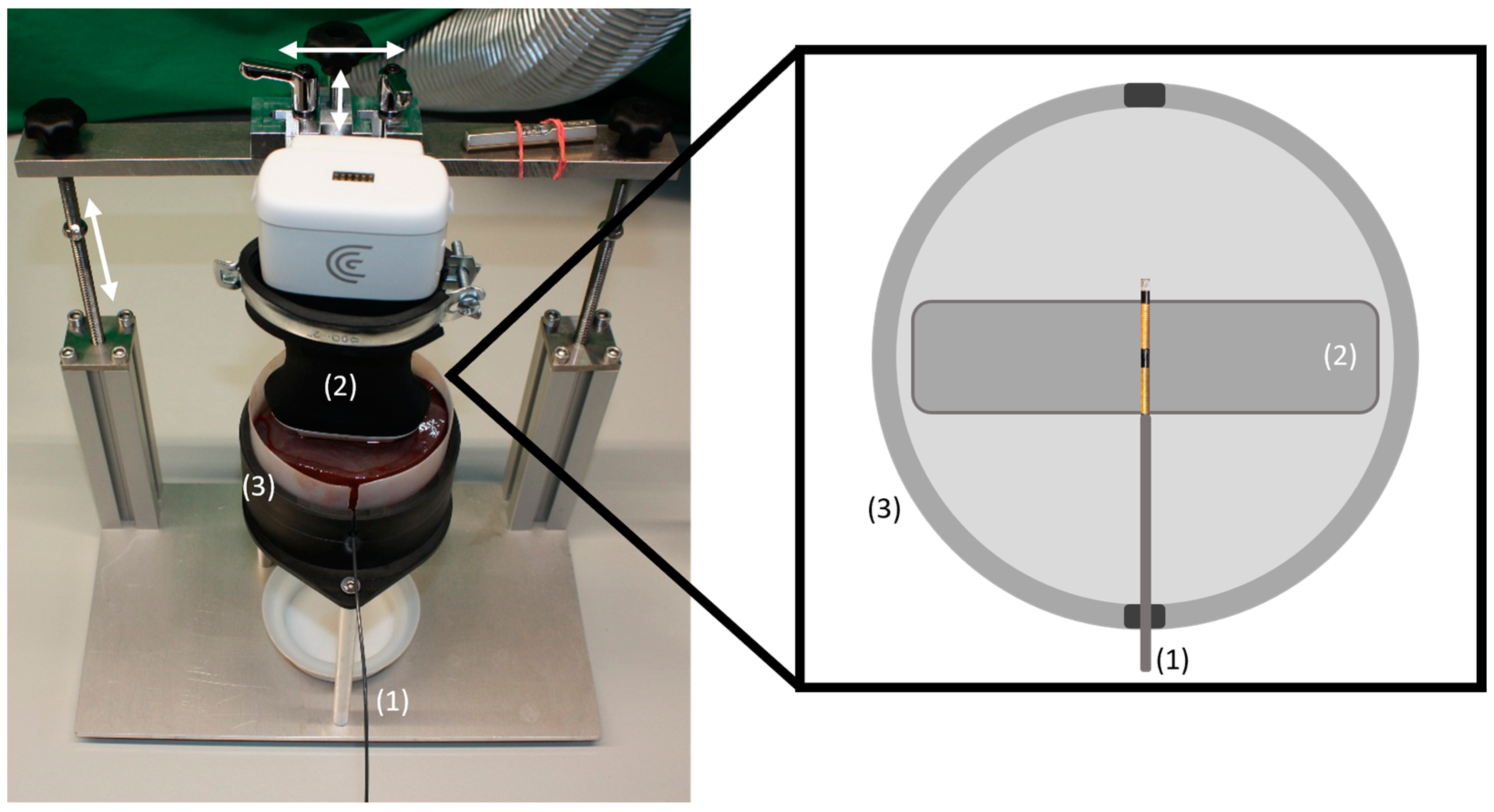 Cancers 16 01700 g001