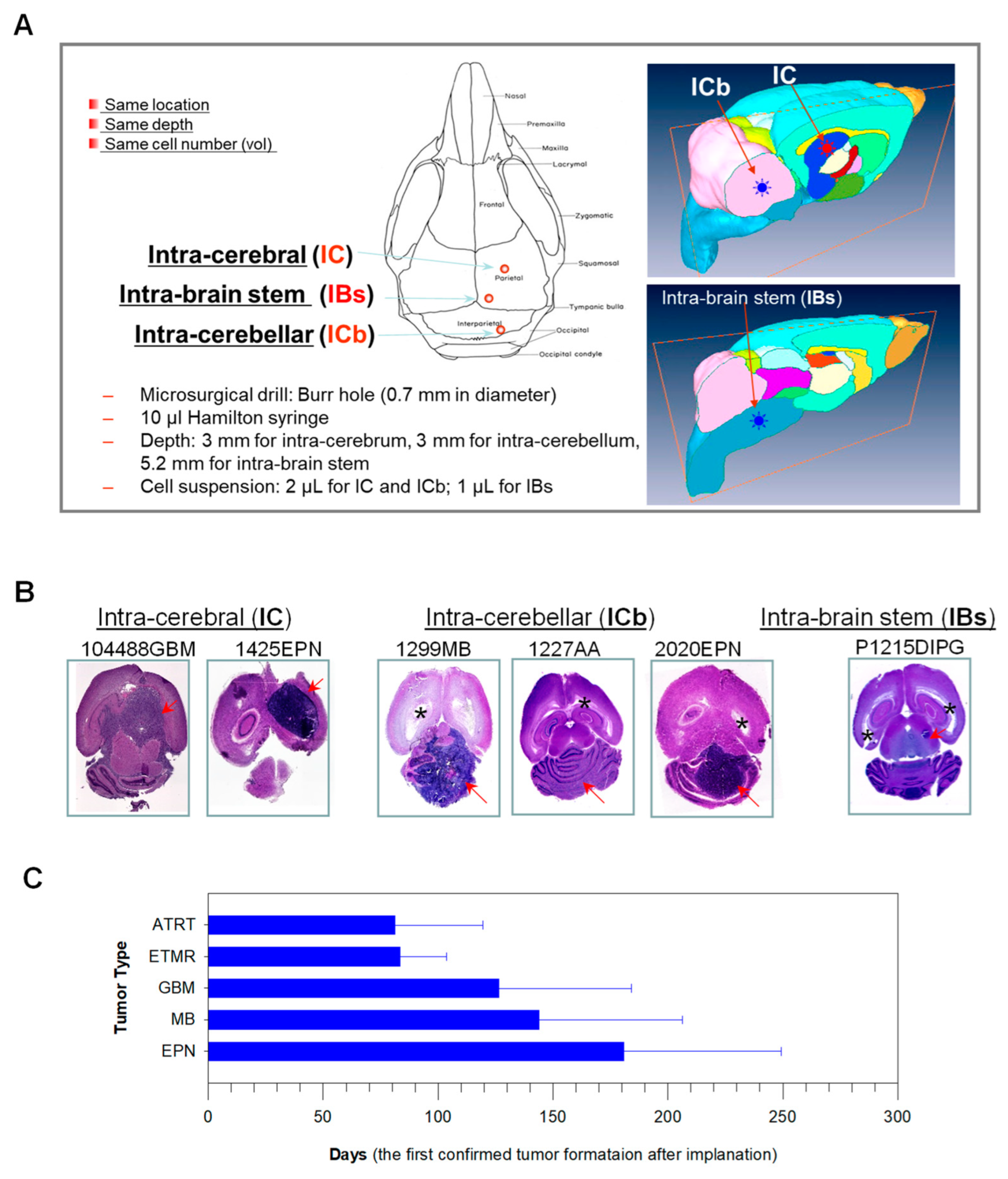 Cancers 16 01716 g001 Cancers 16 01716 g001