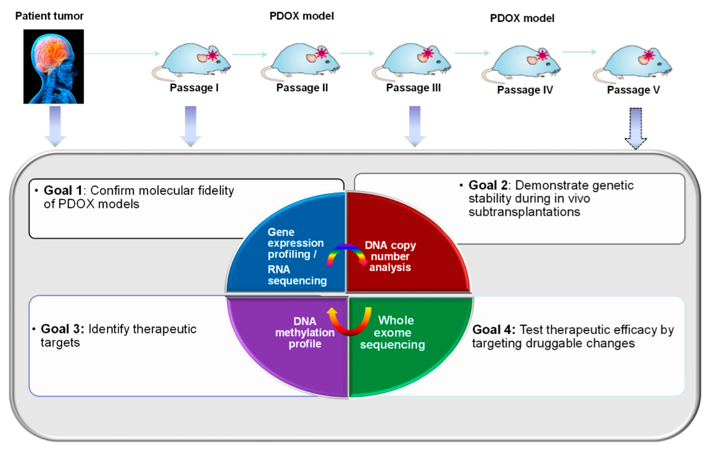 Cancers 16 01716 g005 Cancers 16 01716 g005