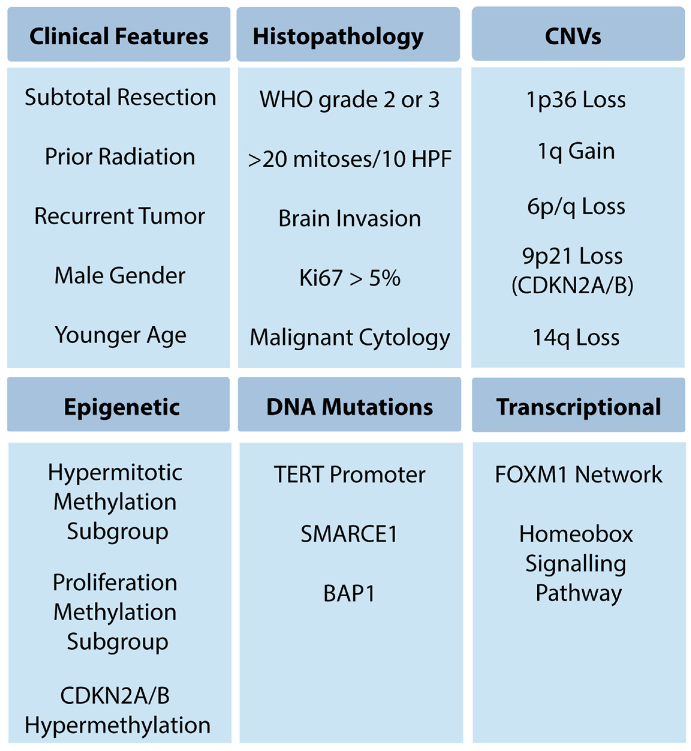 Cancers 16 01753 g001