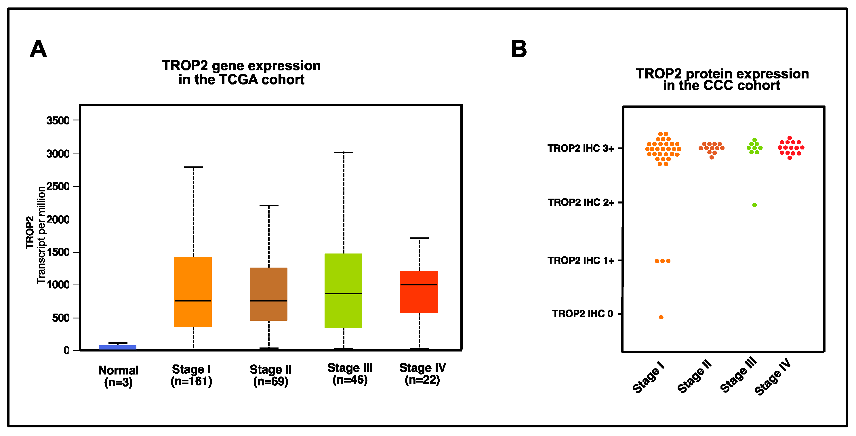 Cancers 16 01787 g002