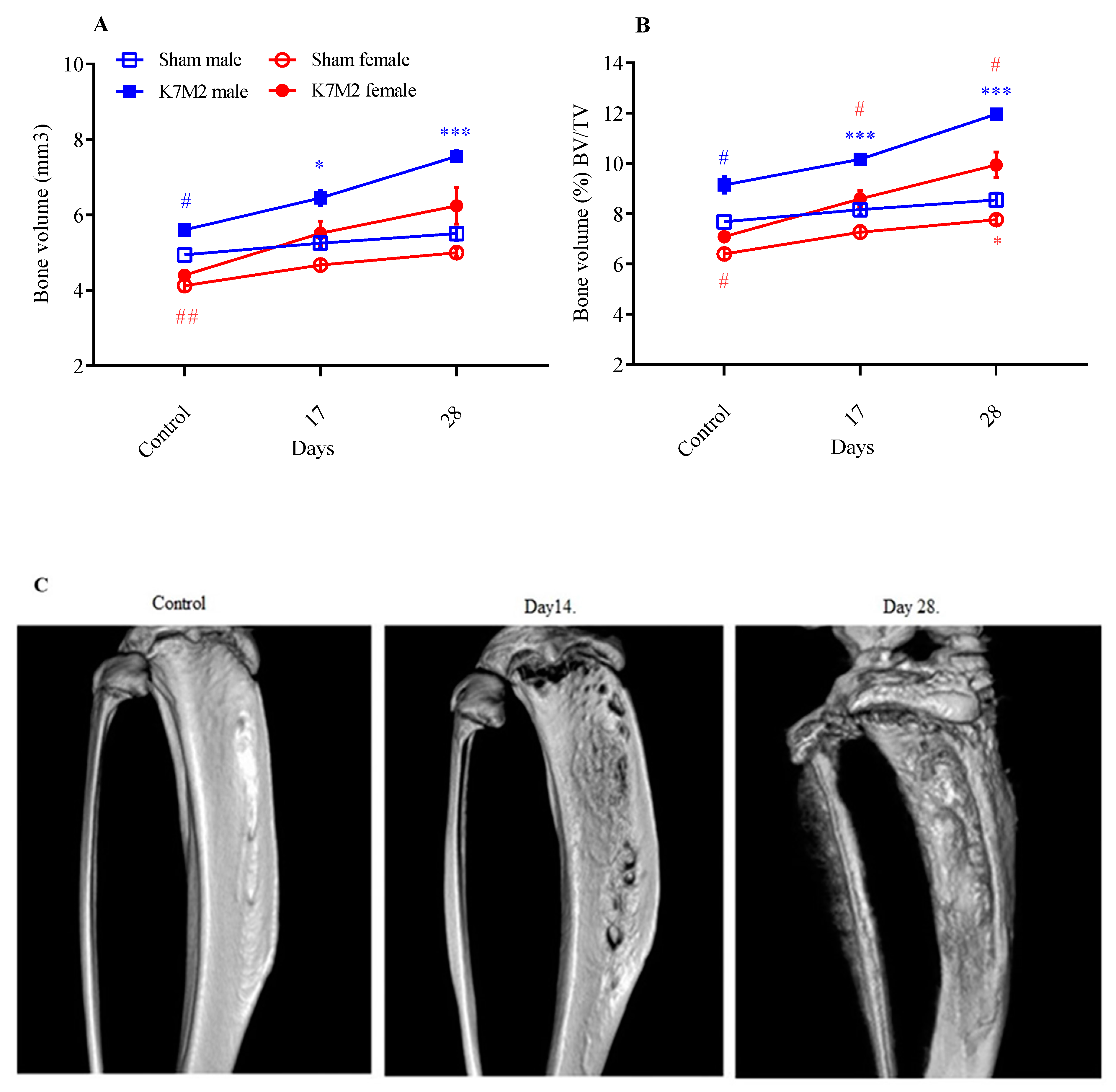 Cancers 16 01788 g004