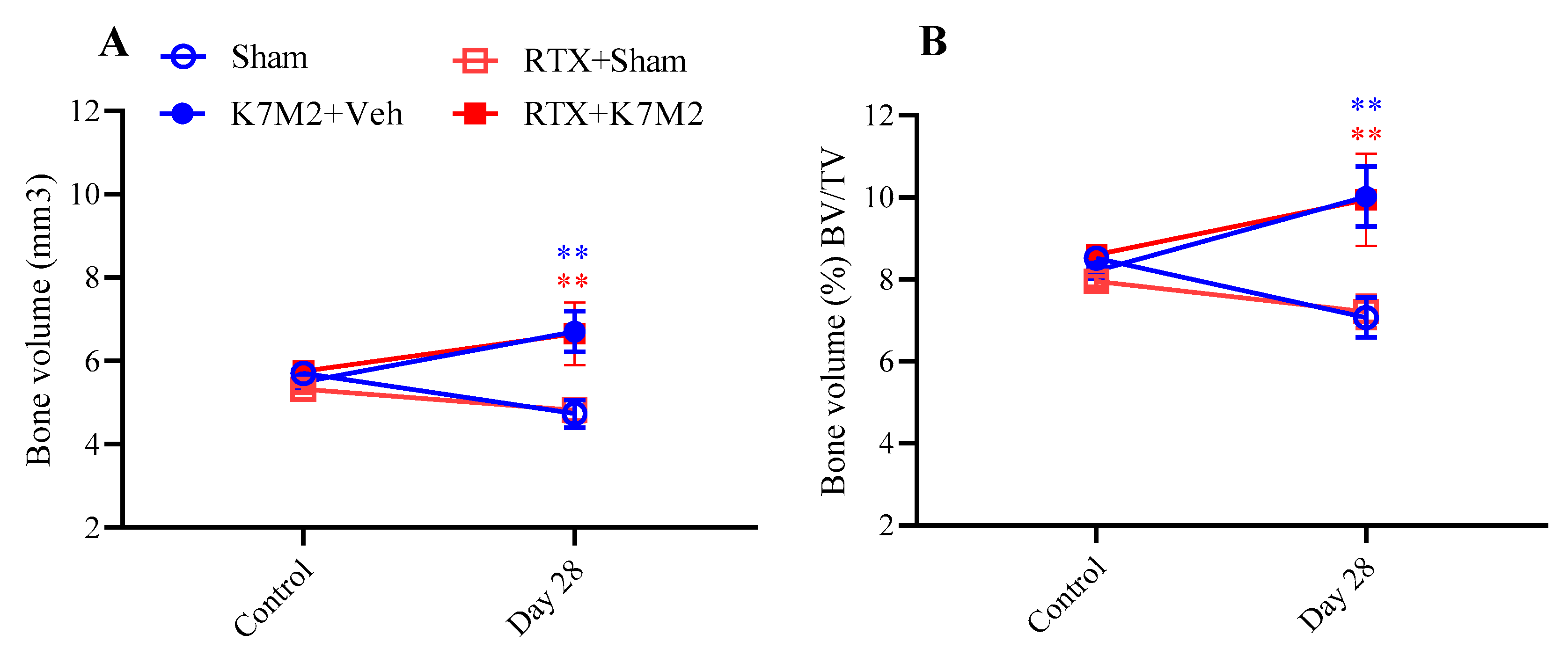 Cancers 16 01788 g008