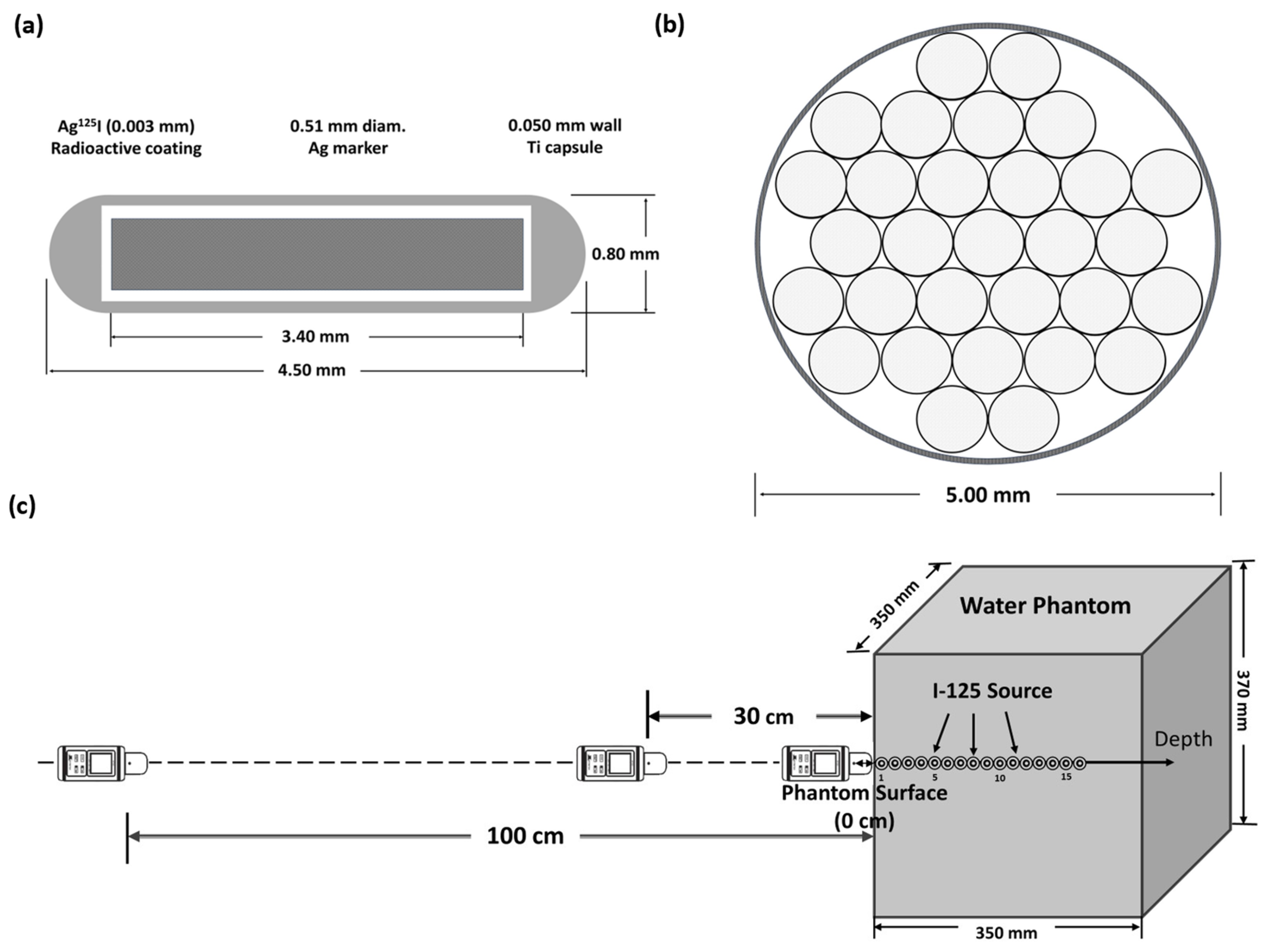 Cancers 16 01790 g001
